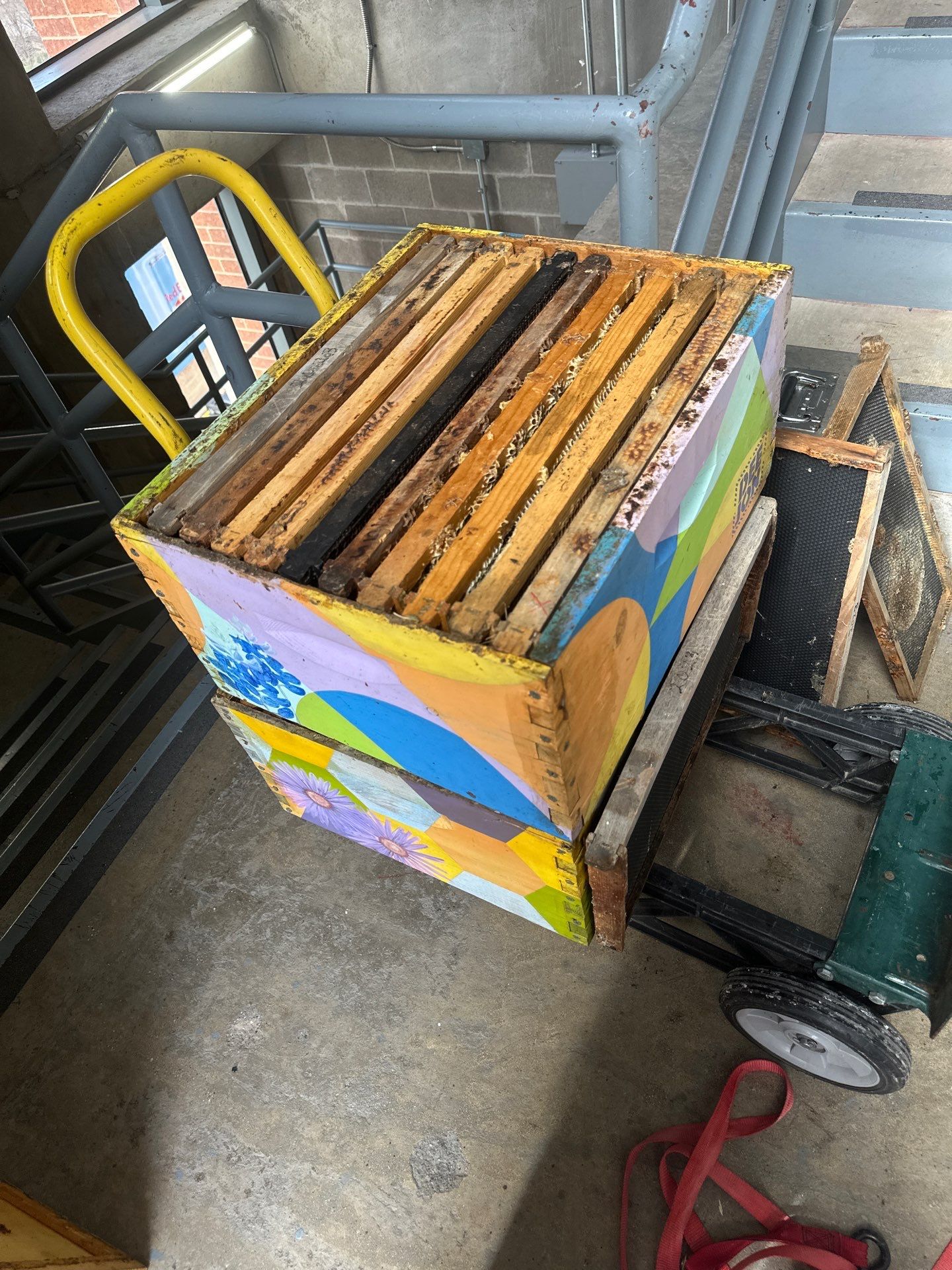 Downtown Dallas by Rockwall Honey Bee Company