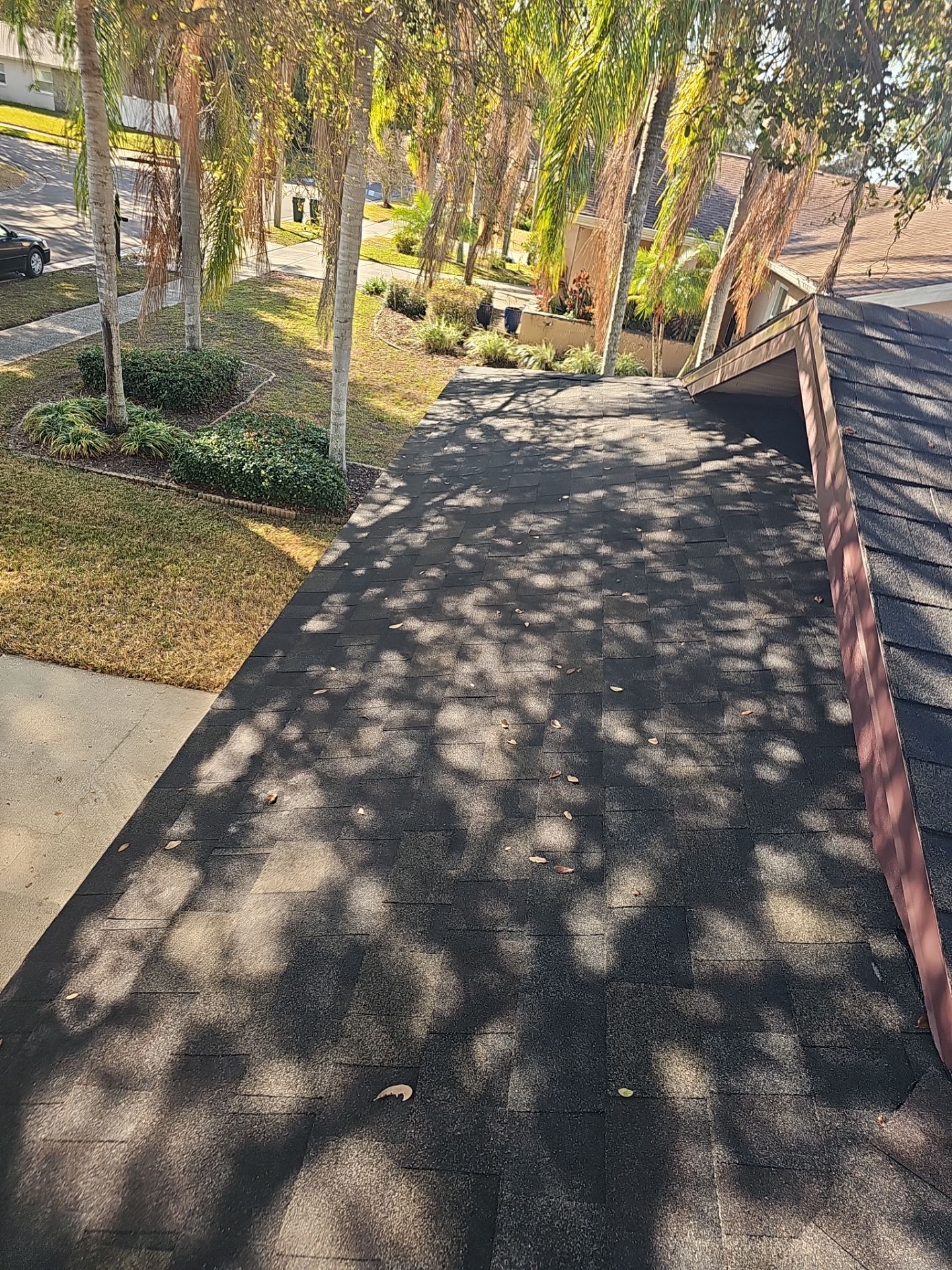 Project in Dunedin 34698 by Mitchell Roofing Company LLC