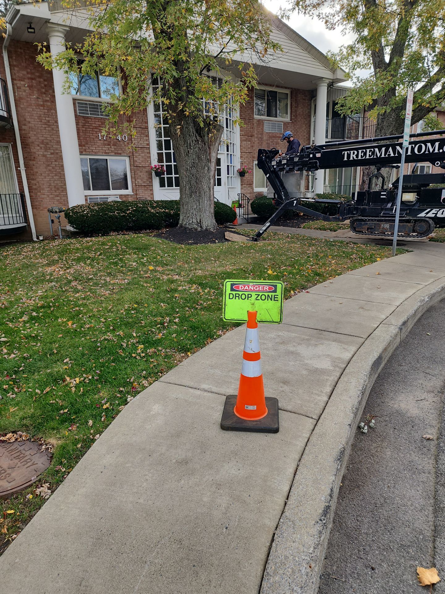 Emergency Job: Removal of Branch by Treeman Tom LLC