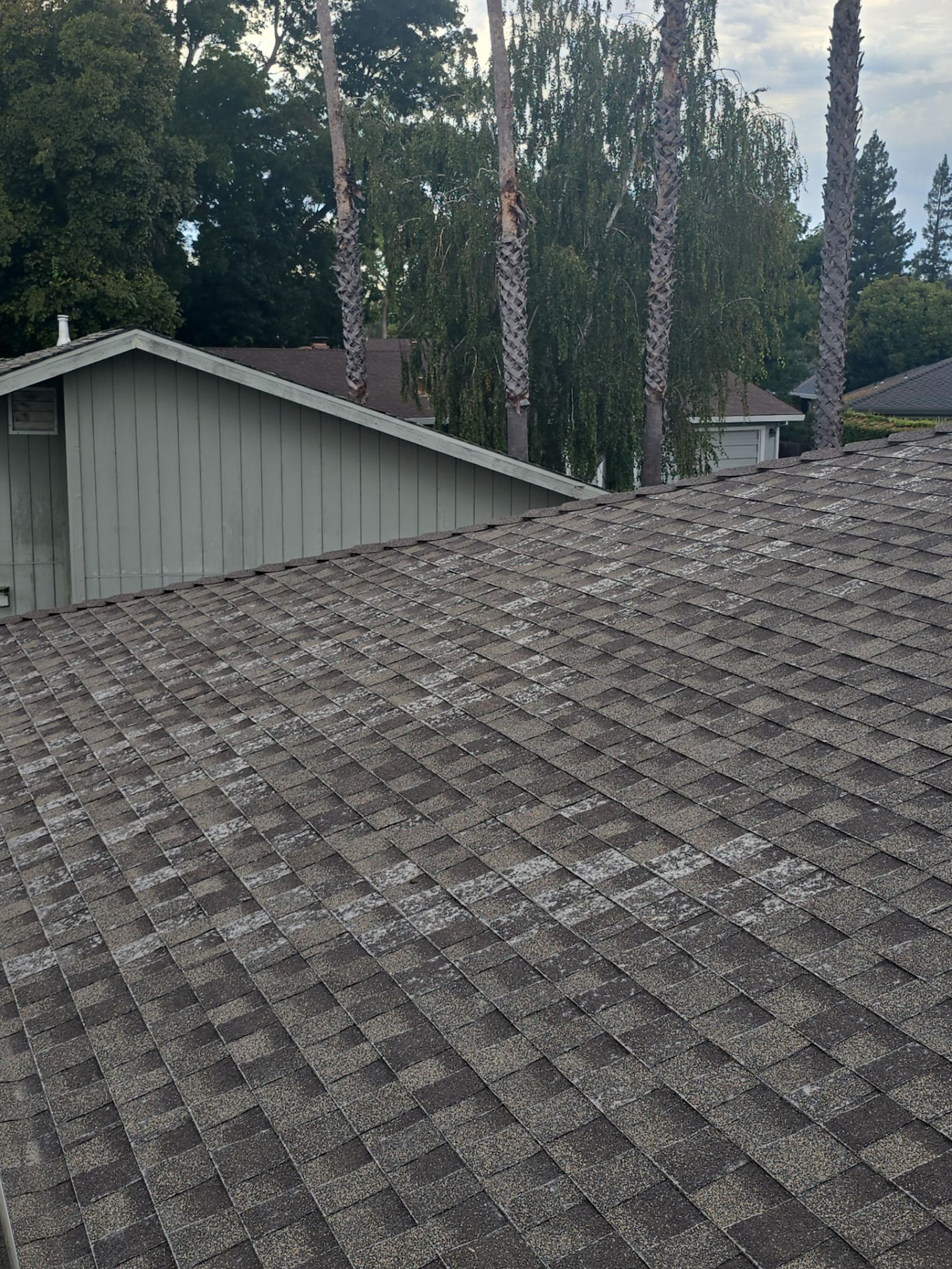 Roof Rejuvenation using Roof Maxx Treatment by Roof Maxx of Folsom