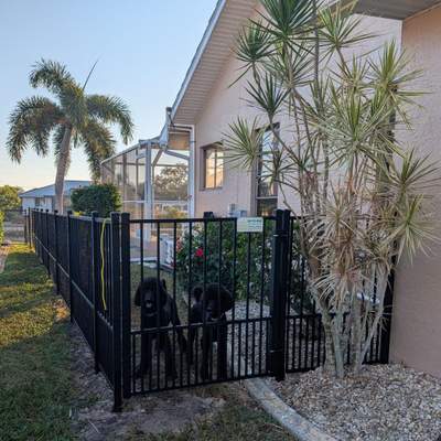 Puppy Picket Aluminum Fence in Punta Gorda