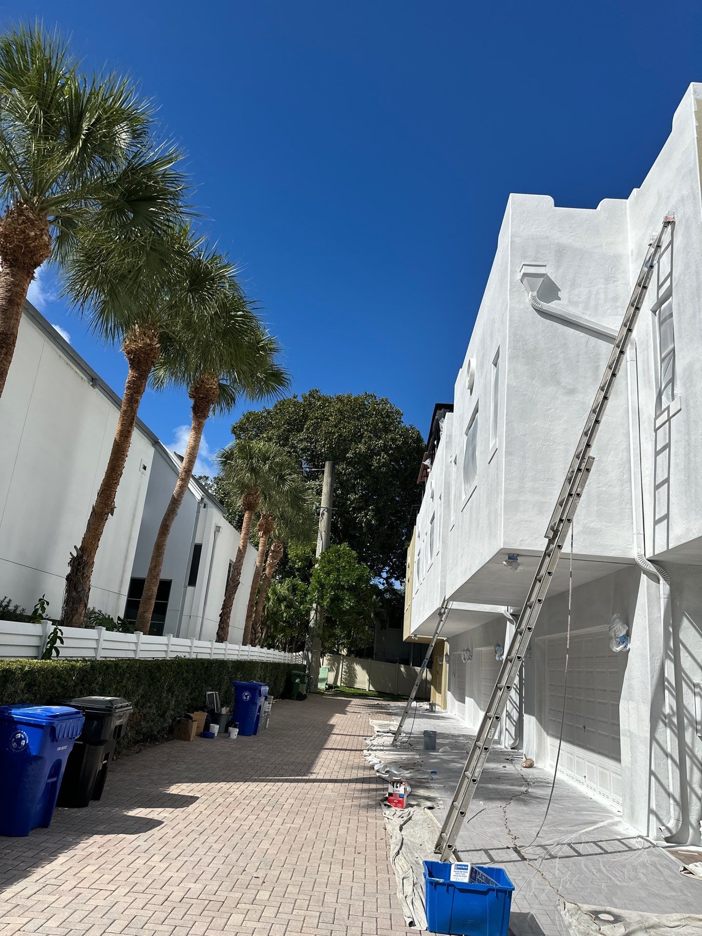 Victoria Park Townhomes by John “The Greek” Painting