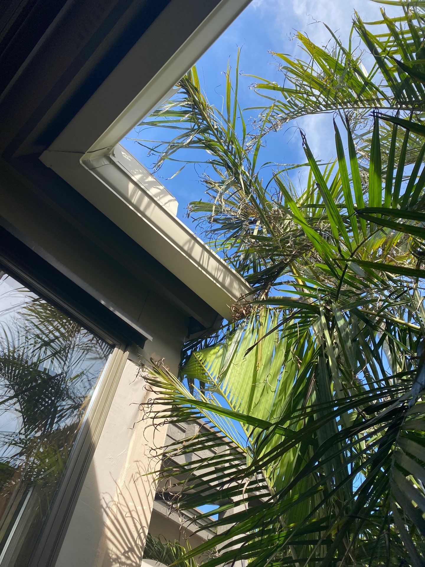 7-Inch K-Style Seamless Gutters in Longboat Key FL by Gutter Professors