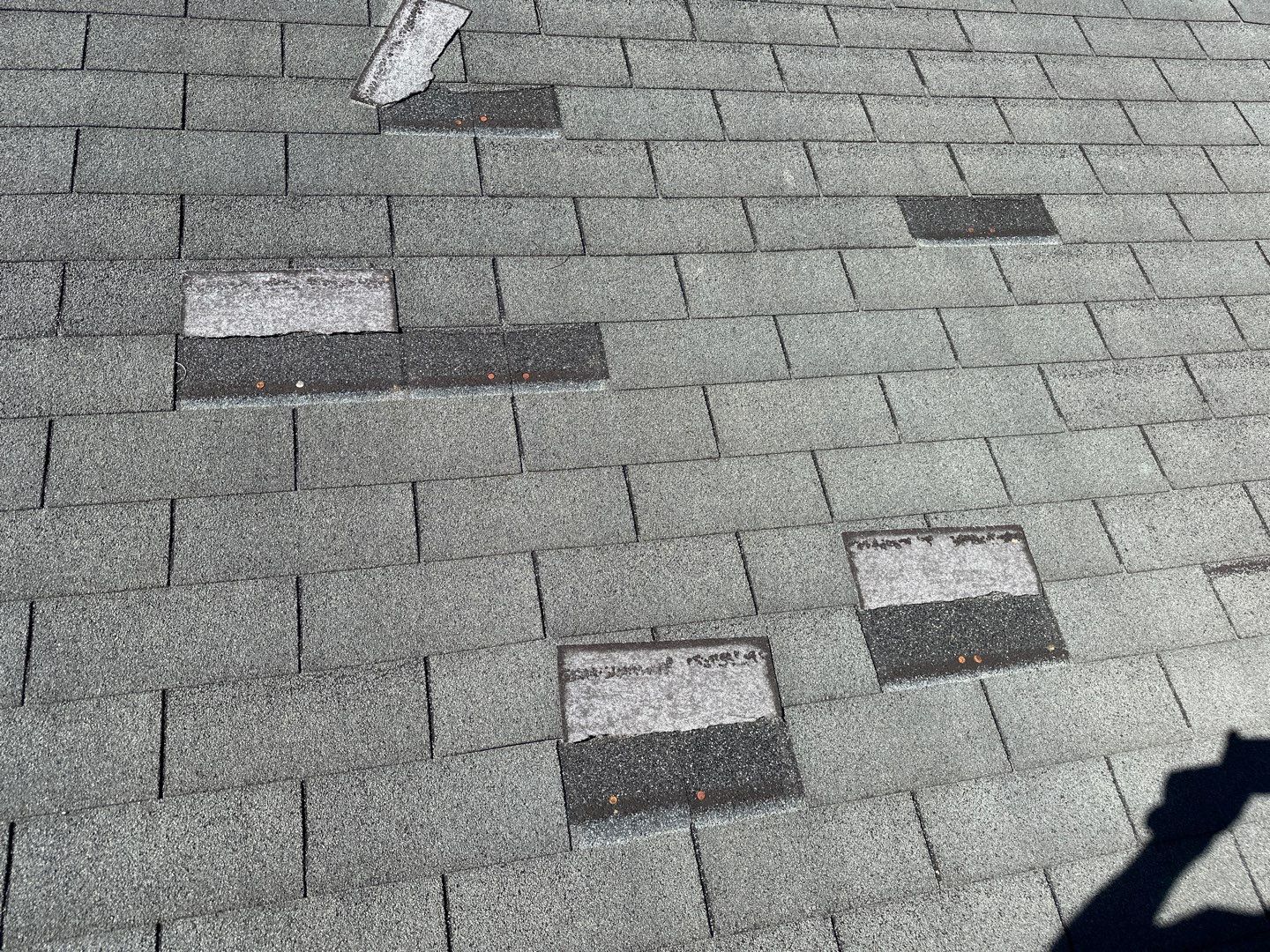 Residential Roofing Installation using Atlas Pinnacle Pristine Coastal Granite by Talya Roofing