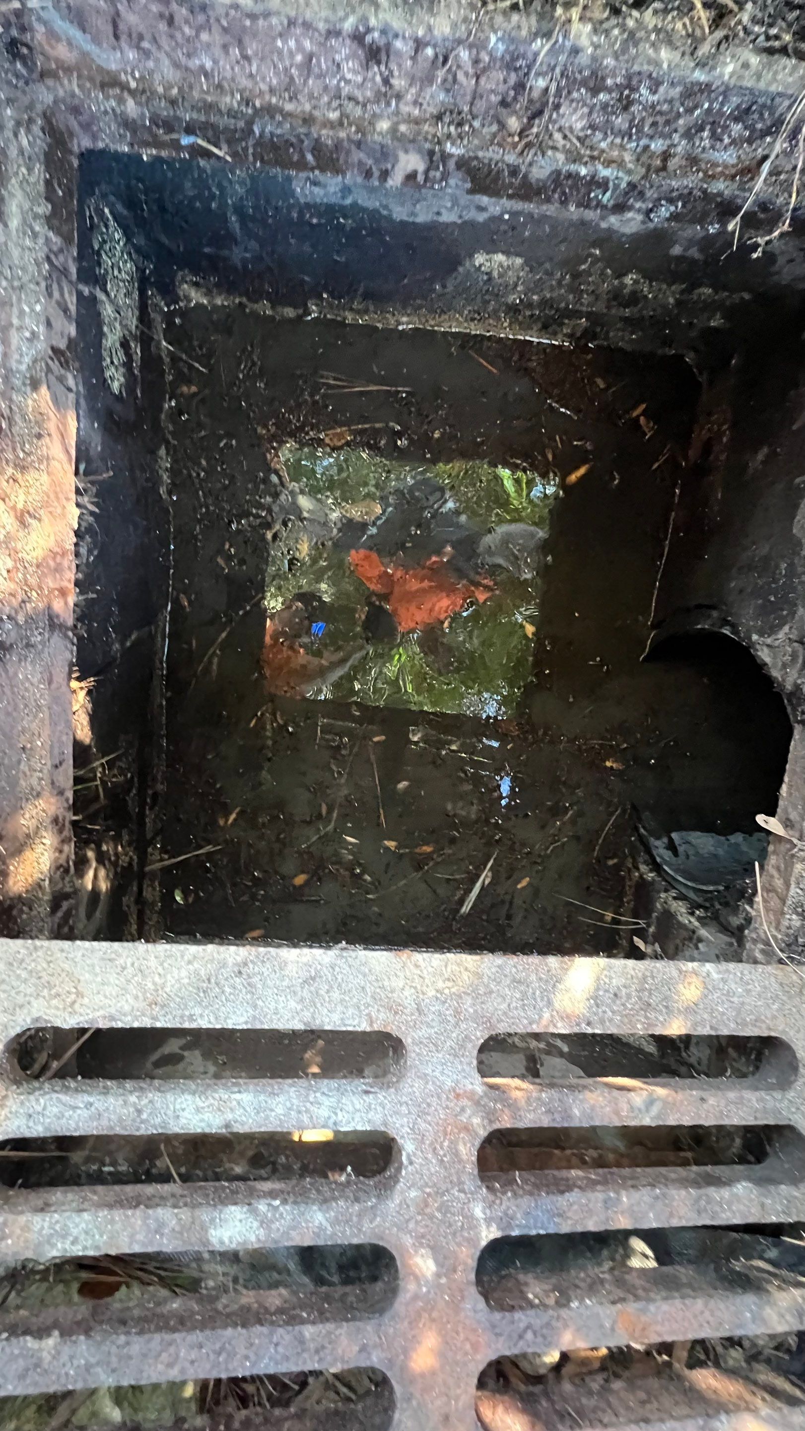 Neighborhood Catch Basin Cleaning by APS Power & Water