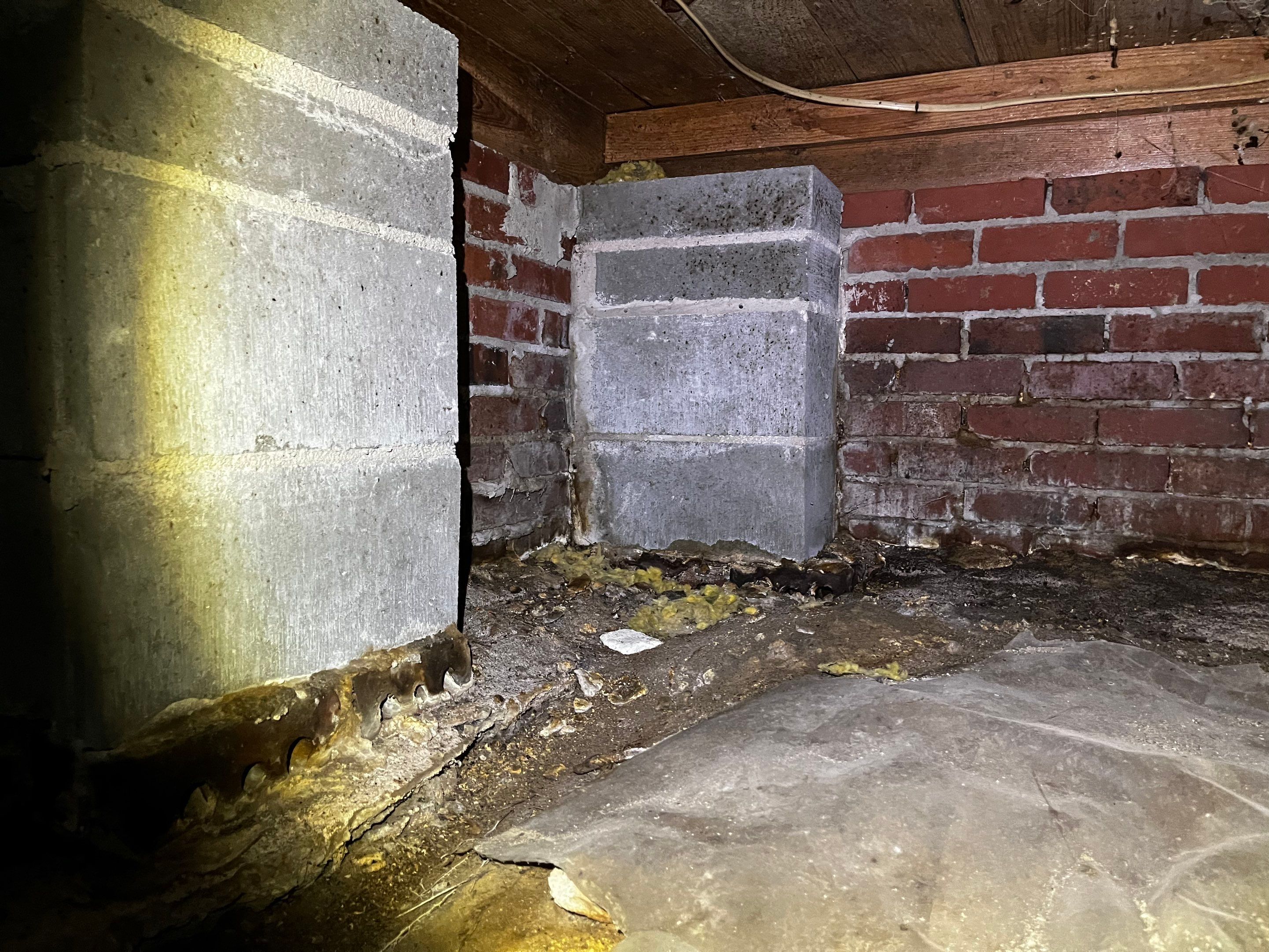 Impact Choice Encapsulation with new piers and crawlspace door. by Impact Crawlspace