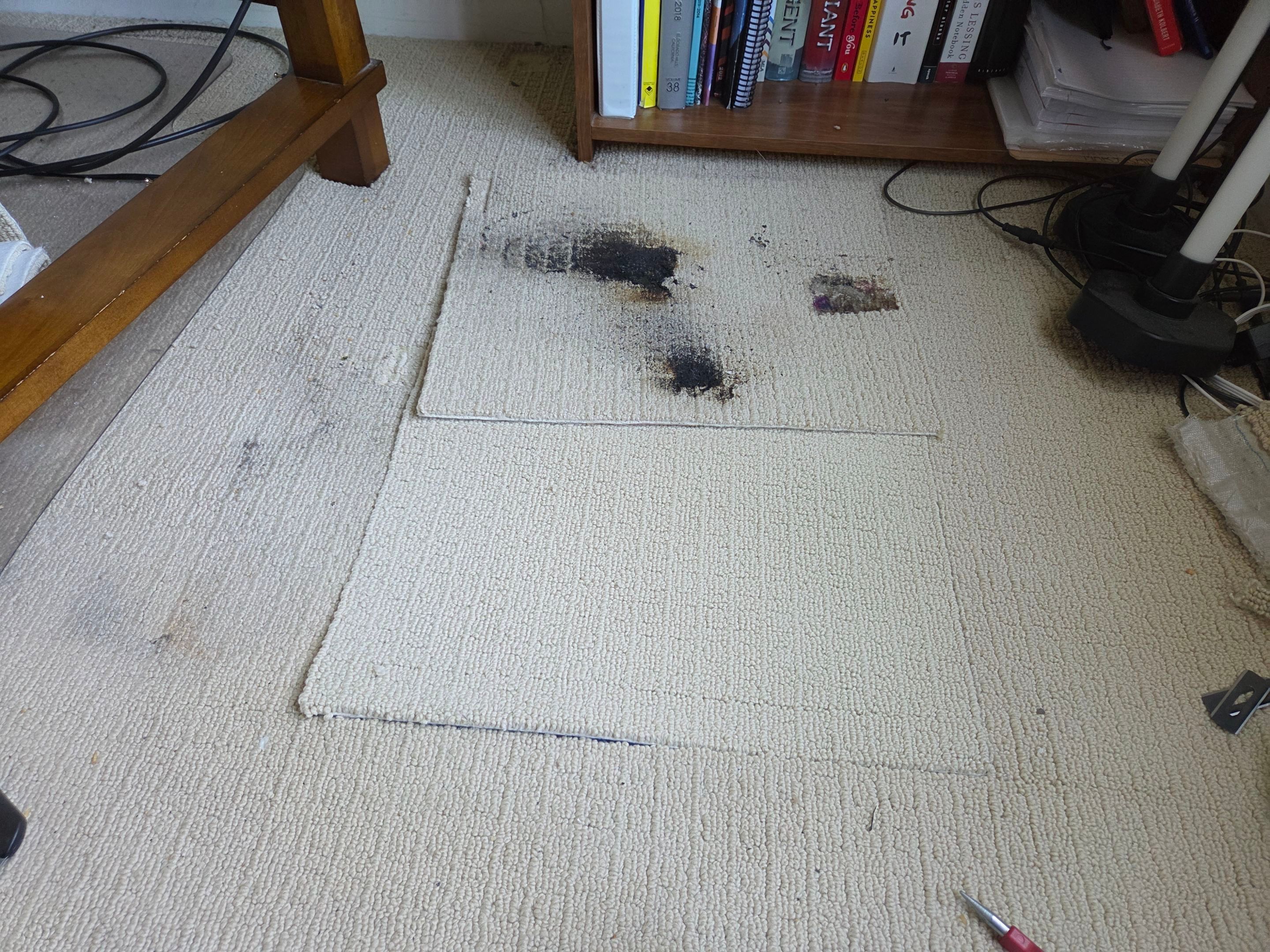 Large Burn, Carpet Repair in EDH by Ardent Carpet Restore LLC