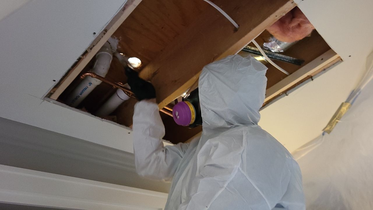 Kitchen Pipe Burst by Chicagoland Water Medics