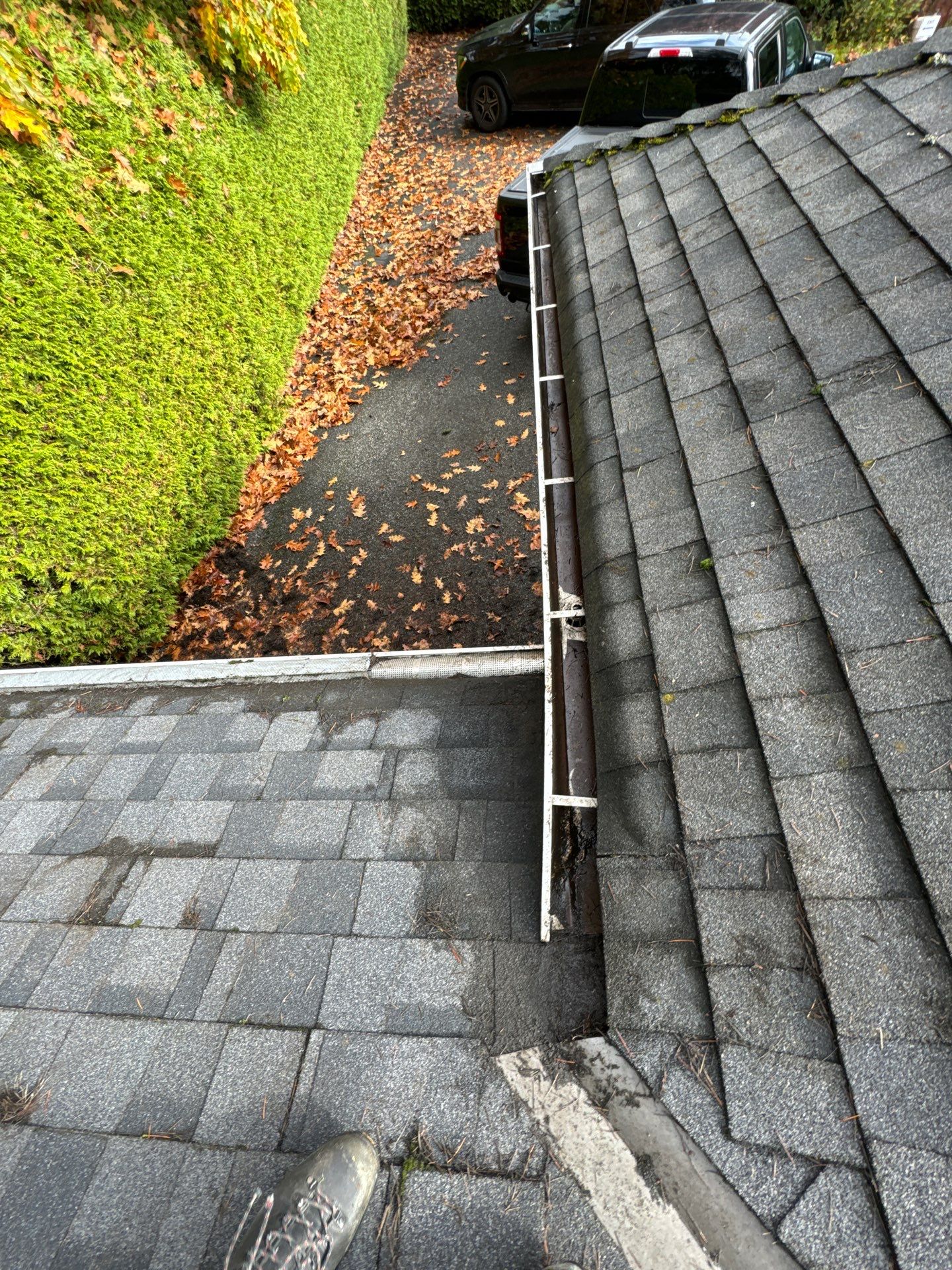 Gutter Cleaning- Taylor Way by YVR Construction Group