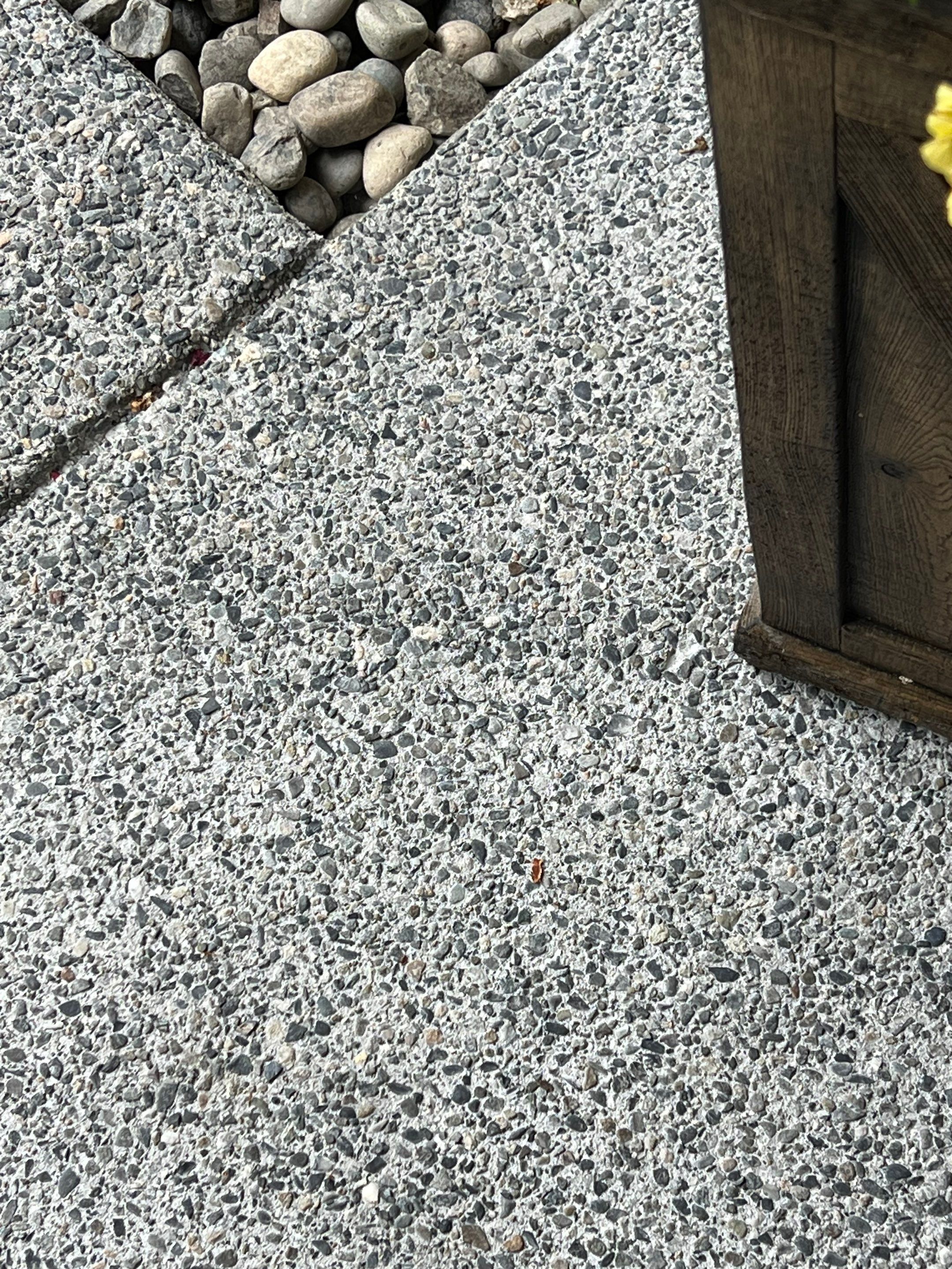 Joan | Concrete Driveway & Walkway   by Jireh Asphalt & Concrete Inc 