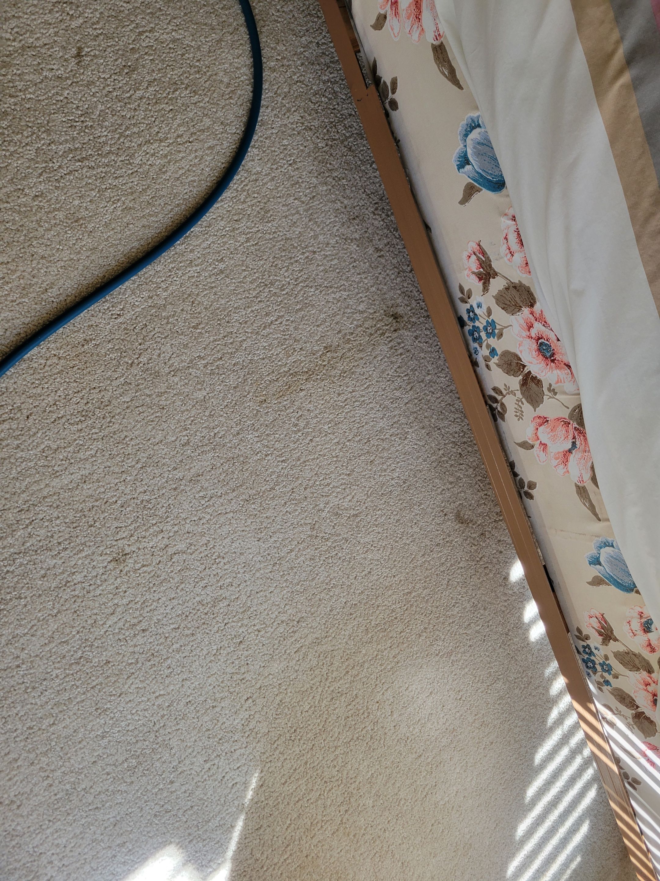 Investment Property, Carpet Cleaning by Ardent Carpet Restore LLC
