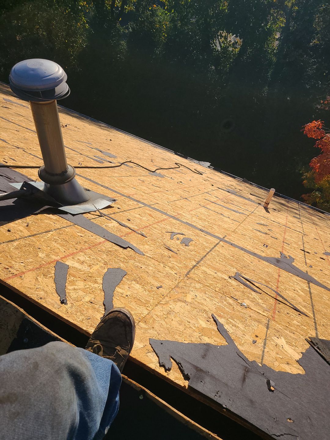 Alexandria: Residential Roof Replacement with CertainTeed Landmark Pro Designer Shingles in Max Def Moire Black by RM Banning, Inc.