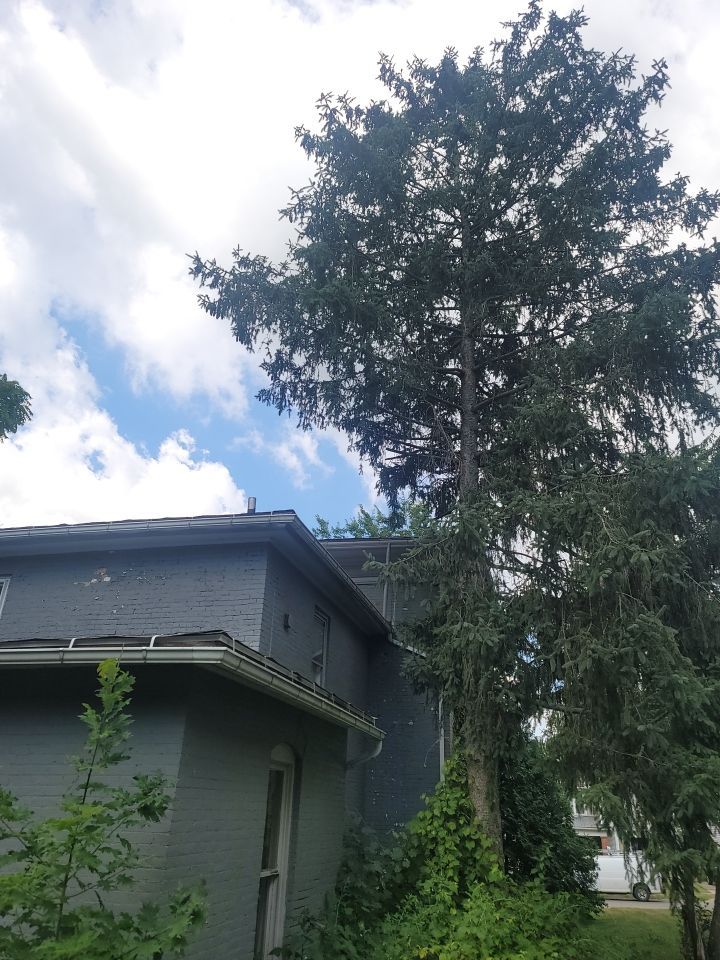 ATLAS PINNACLE COLOR: MAJESTIC SHAKE DRIP EDGE: WHITE by Eagle Eye Roofing