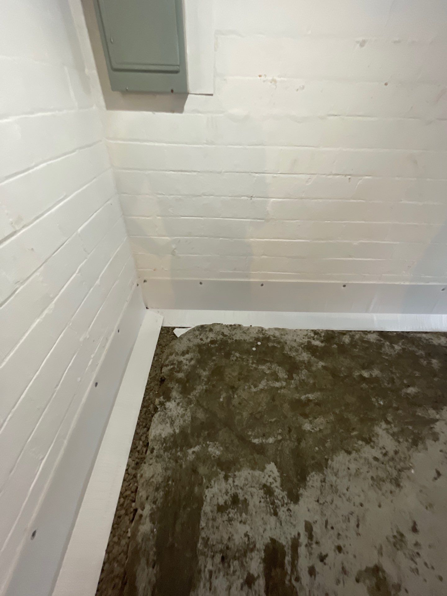 Basement Waterproofing & Structural Reinforcements by Toledo Basement Repair 