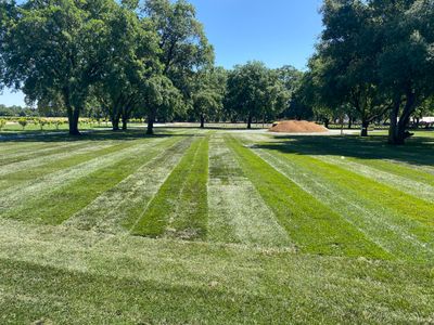 Project in Lodi