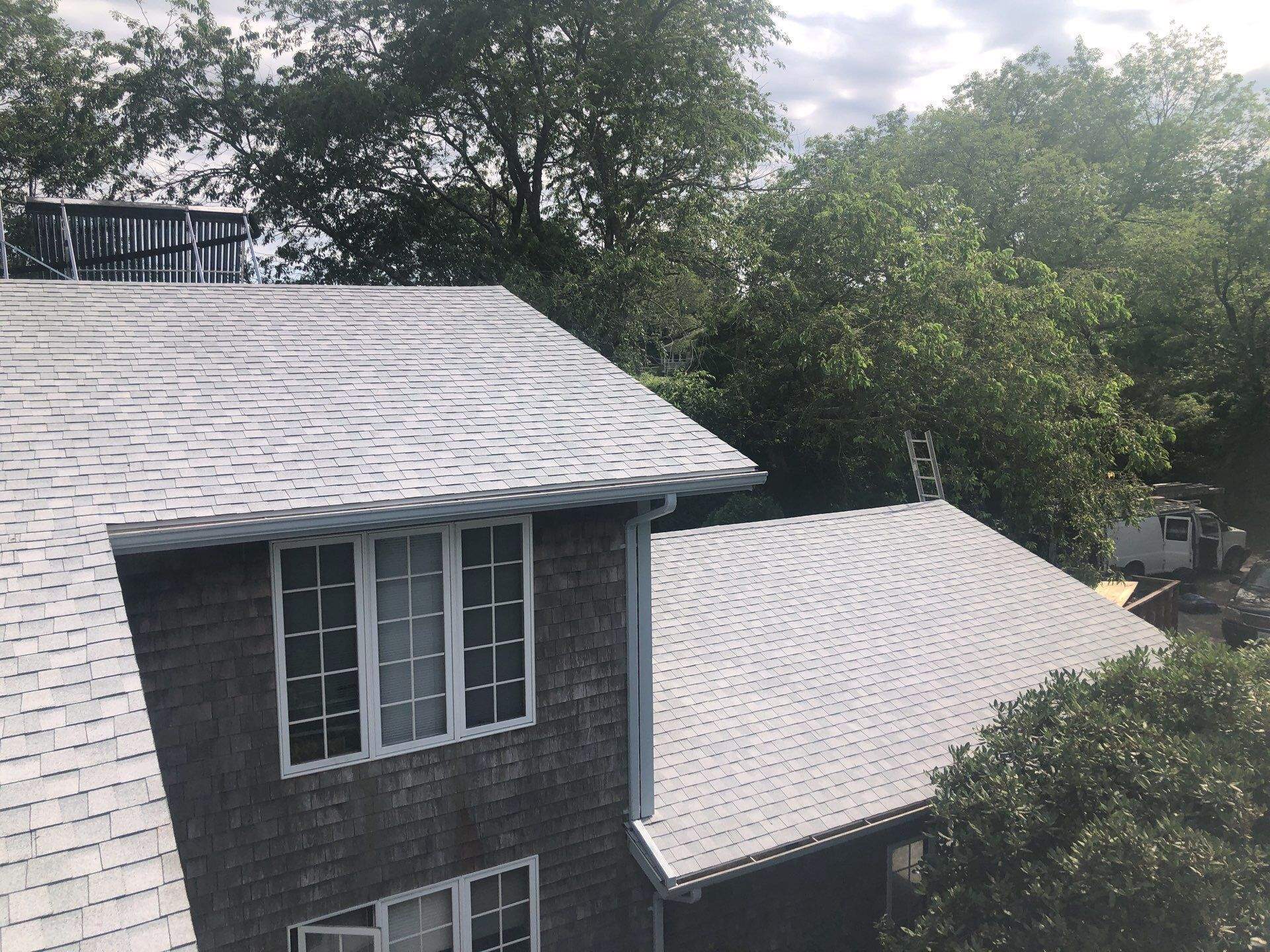 Silver Birch by Pinnacle Roofing & Skylights