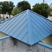 24ga 1" Nail-Strip Slate Blue  by Total Roofing System The Metal Roof Experts