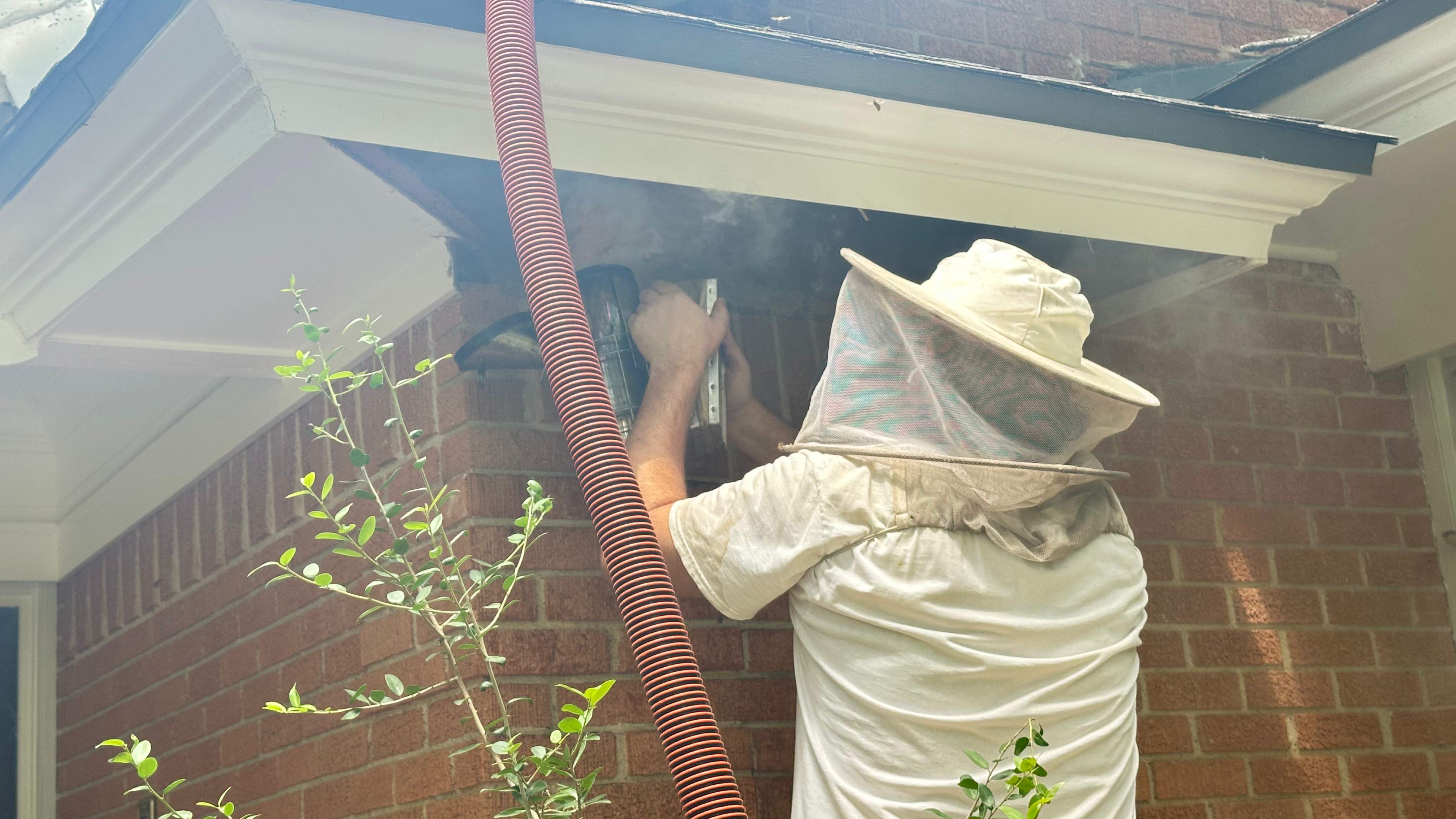 Long-term Residents by Rockwall Honey Bee Company