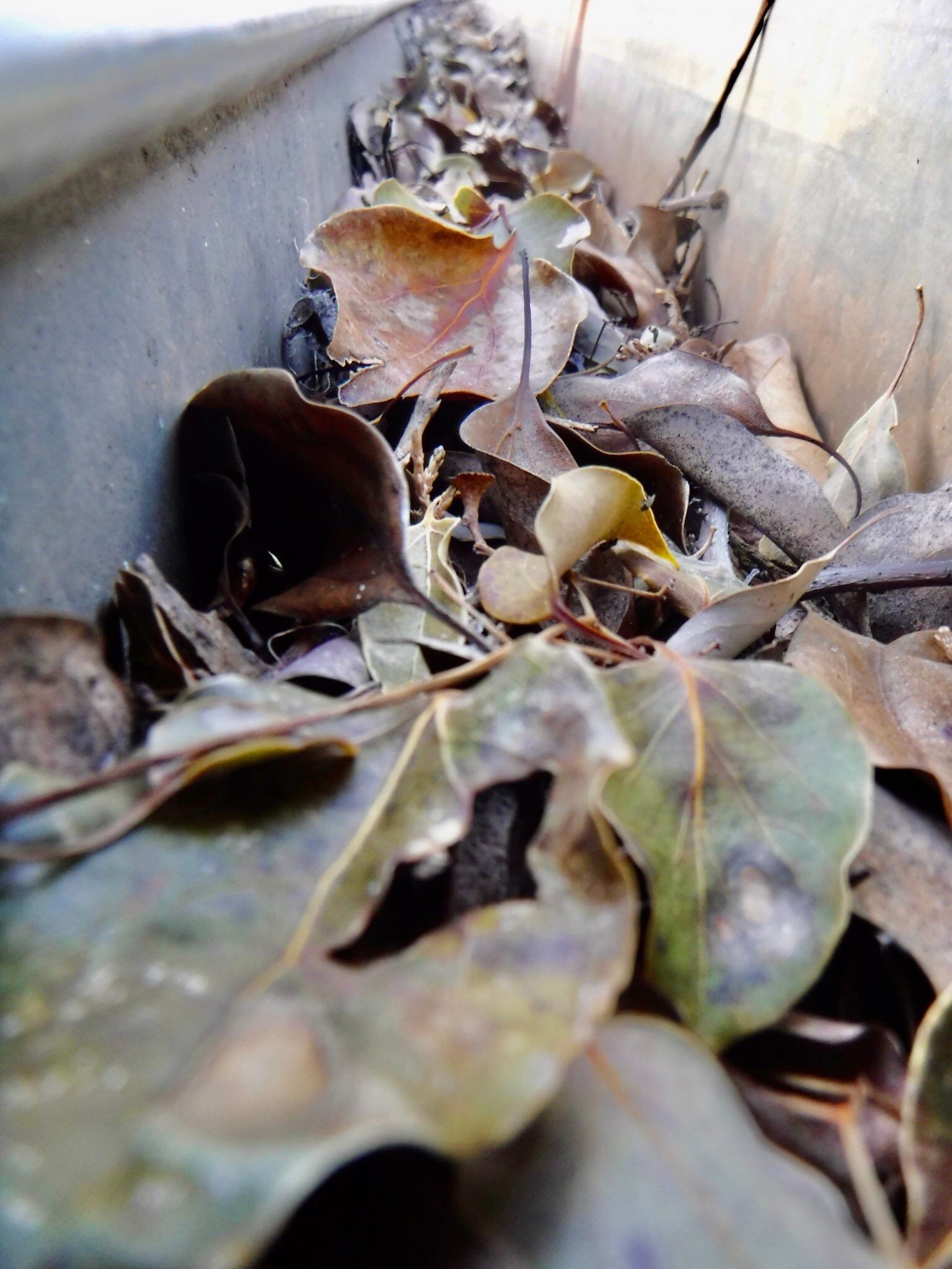 Gutter Installation using Englert LeafGuard Gutters by Byers Enterprises 