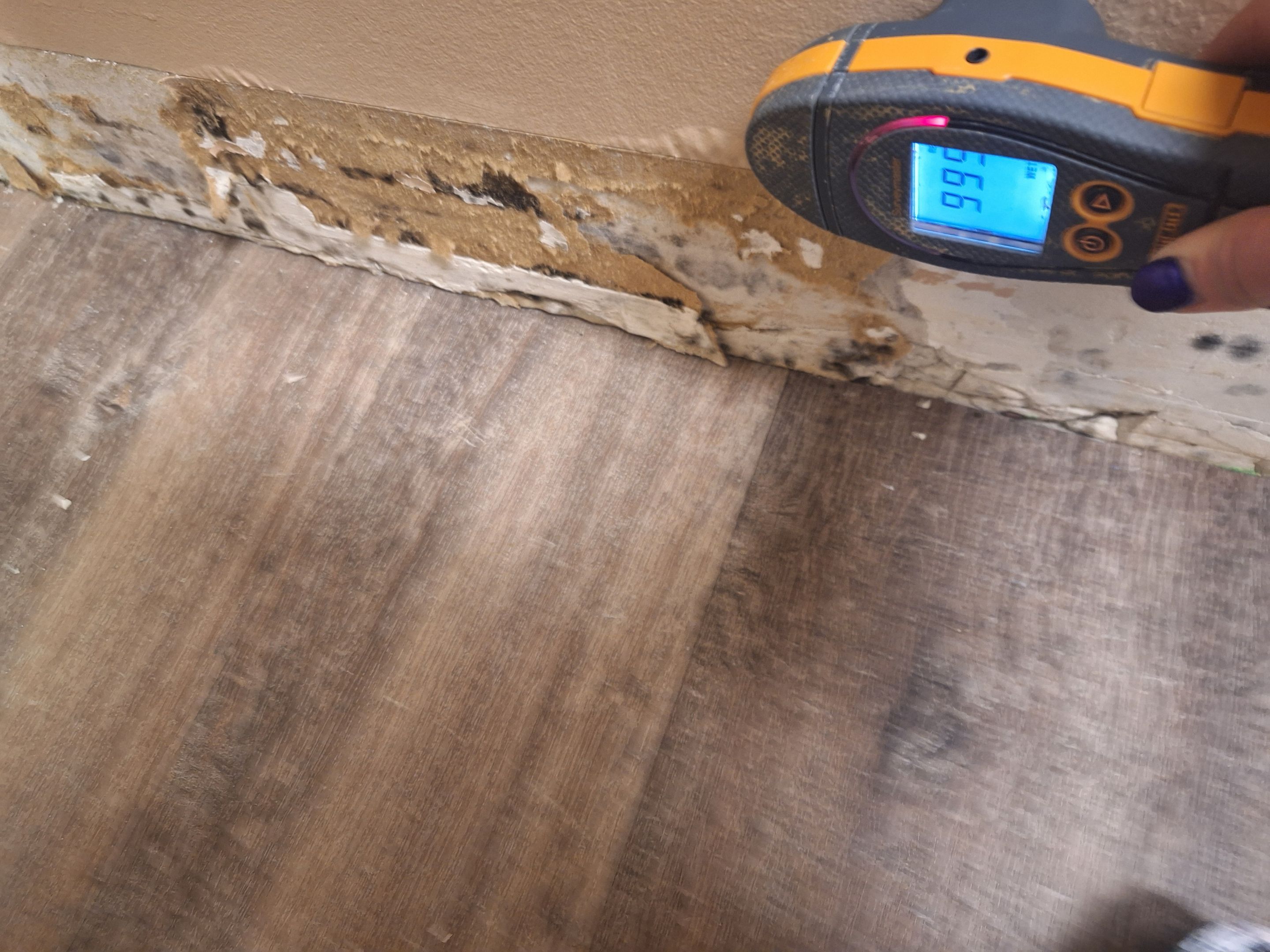 Commercial EMS Sewage Clean in Louisville, KY by ANR Restoration