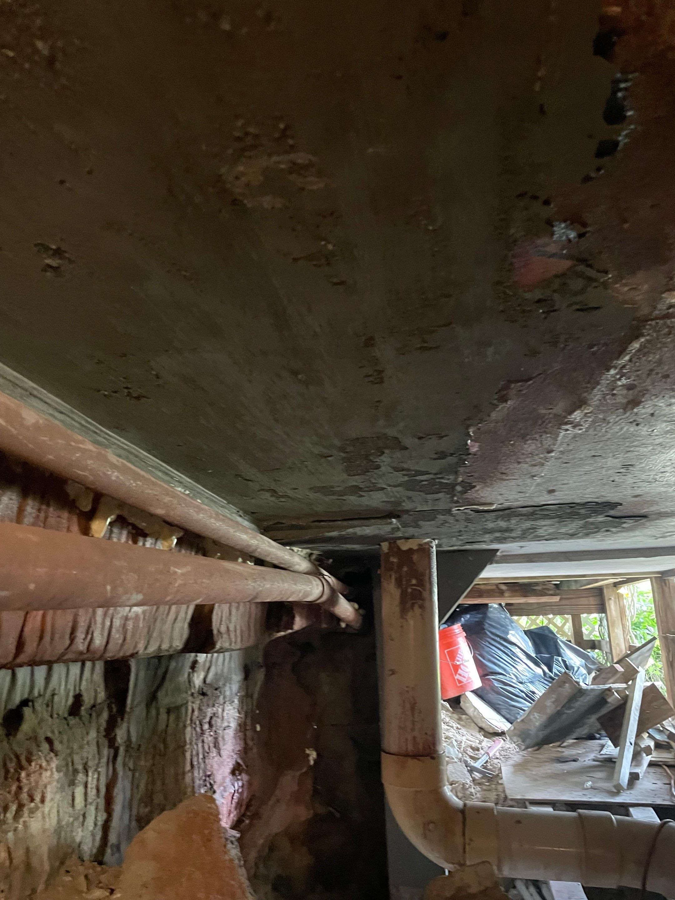 Project in Fort Lauderdale by The Goat Contractor ( Giampri Corp)