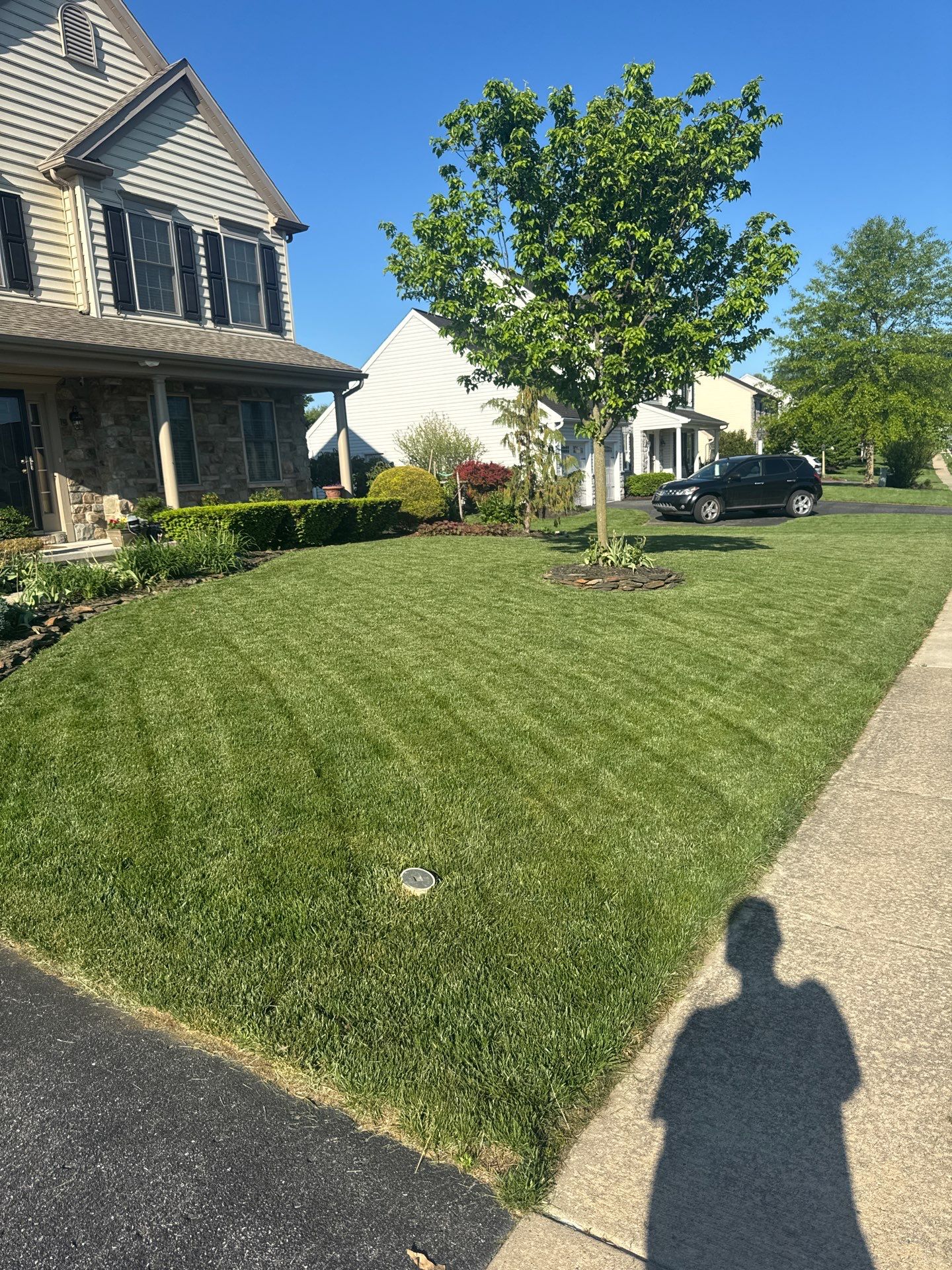 York Pa by Go Green CLC