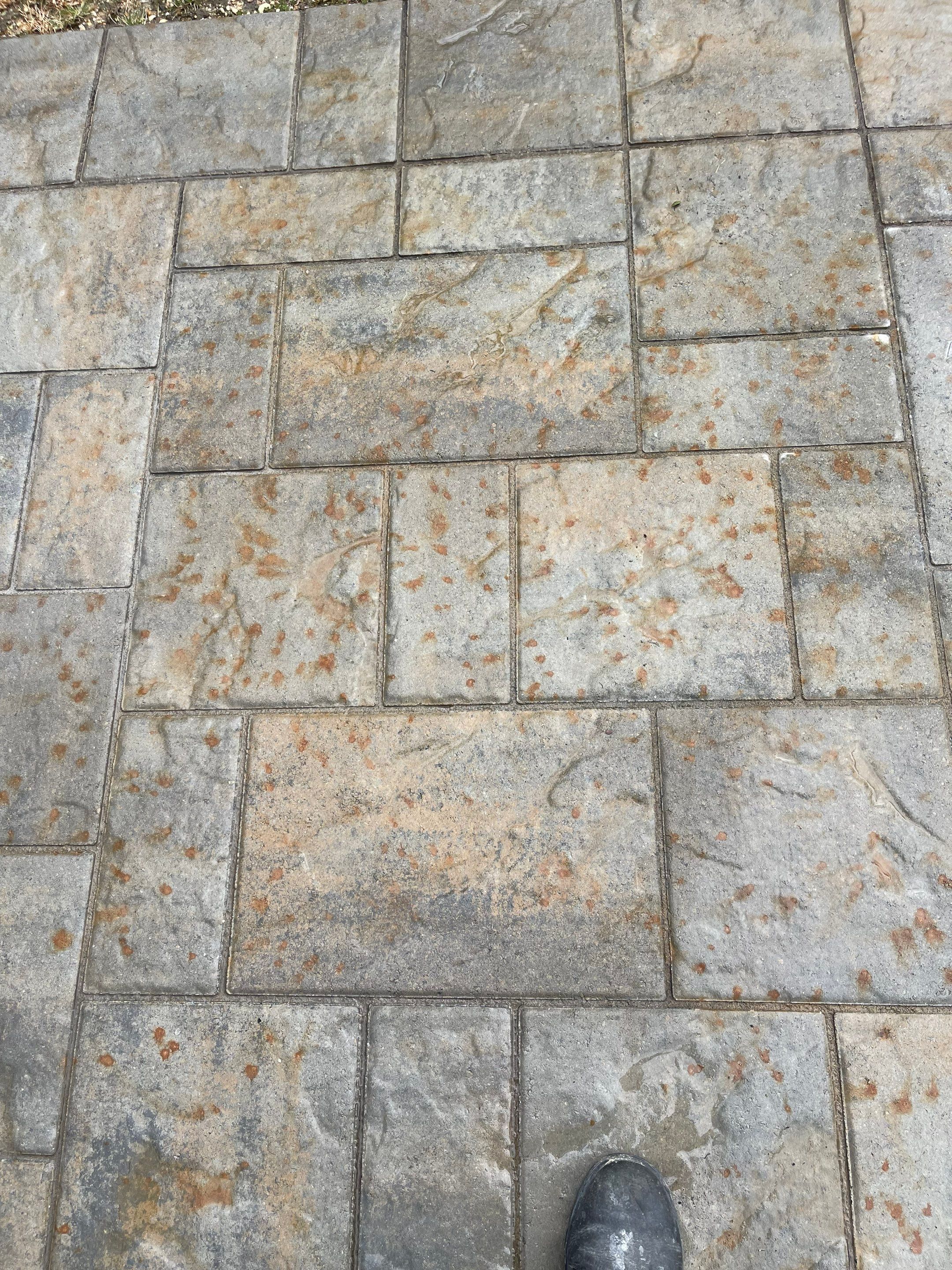 Pressure treated wood deck cleaned by SJ Exterior