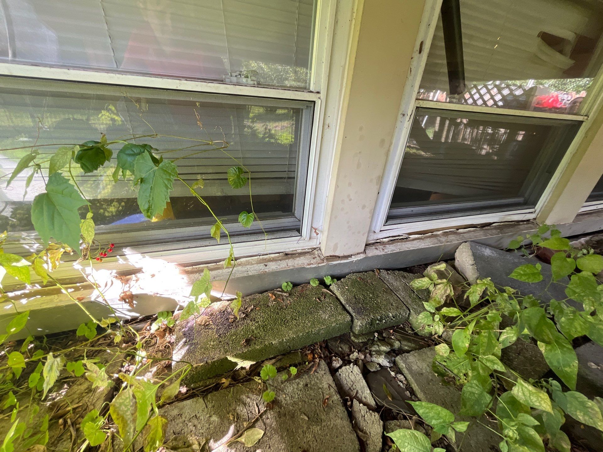 Inspección  by Mike home improvements 