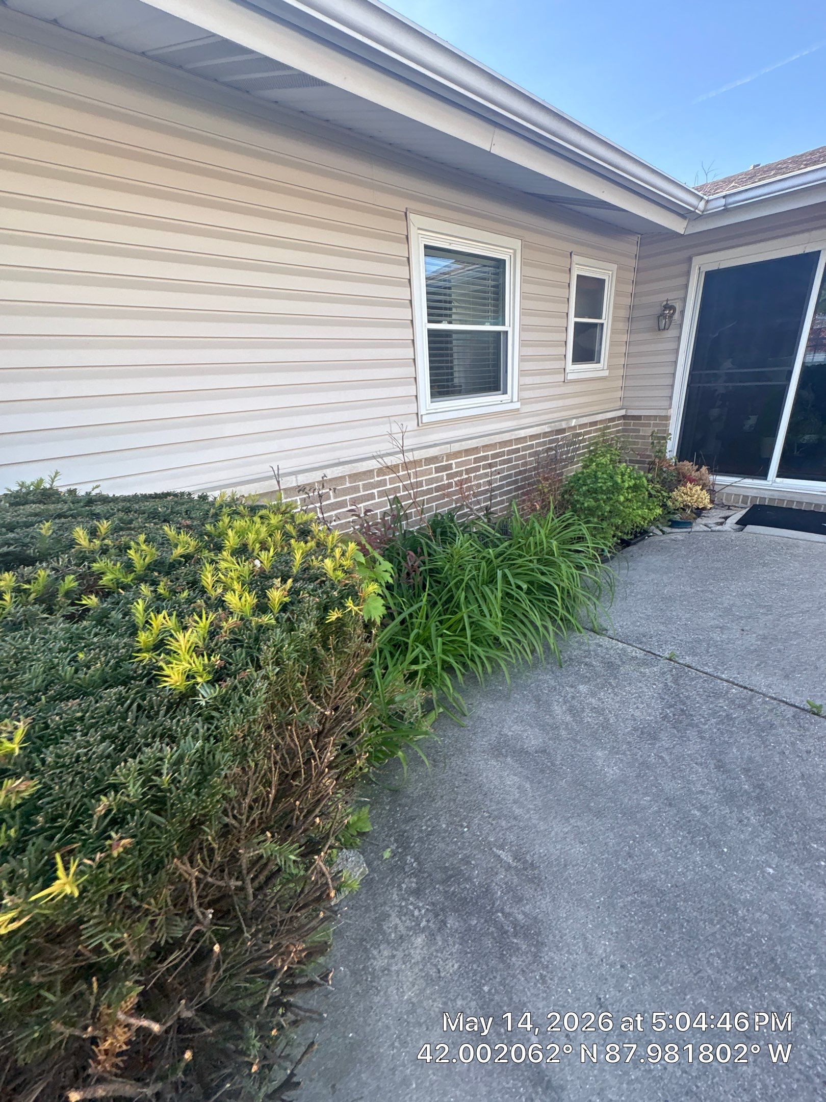 Rudel B. - Elk Grove Village, IL by A&N