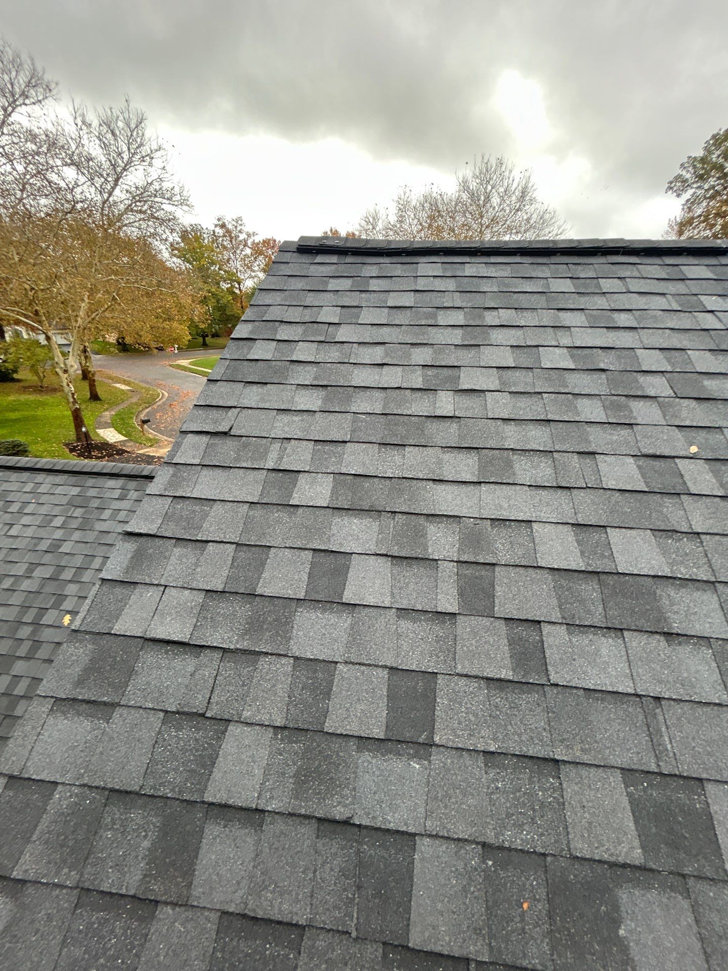 Alexandria :Residential Roof Replacement with CertainTeed Landmark Pro in Max Def Moire Black  by RM Banning, Inc.