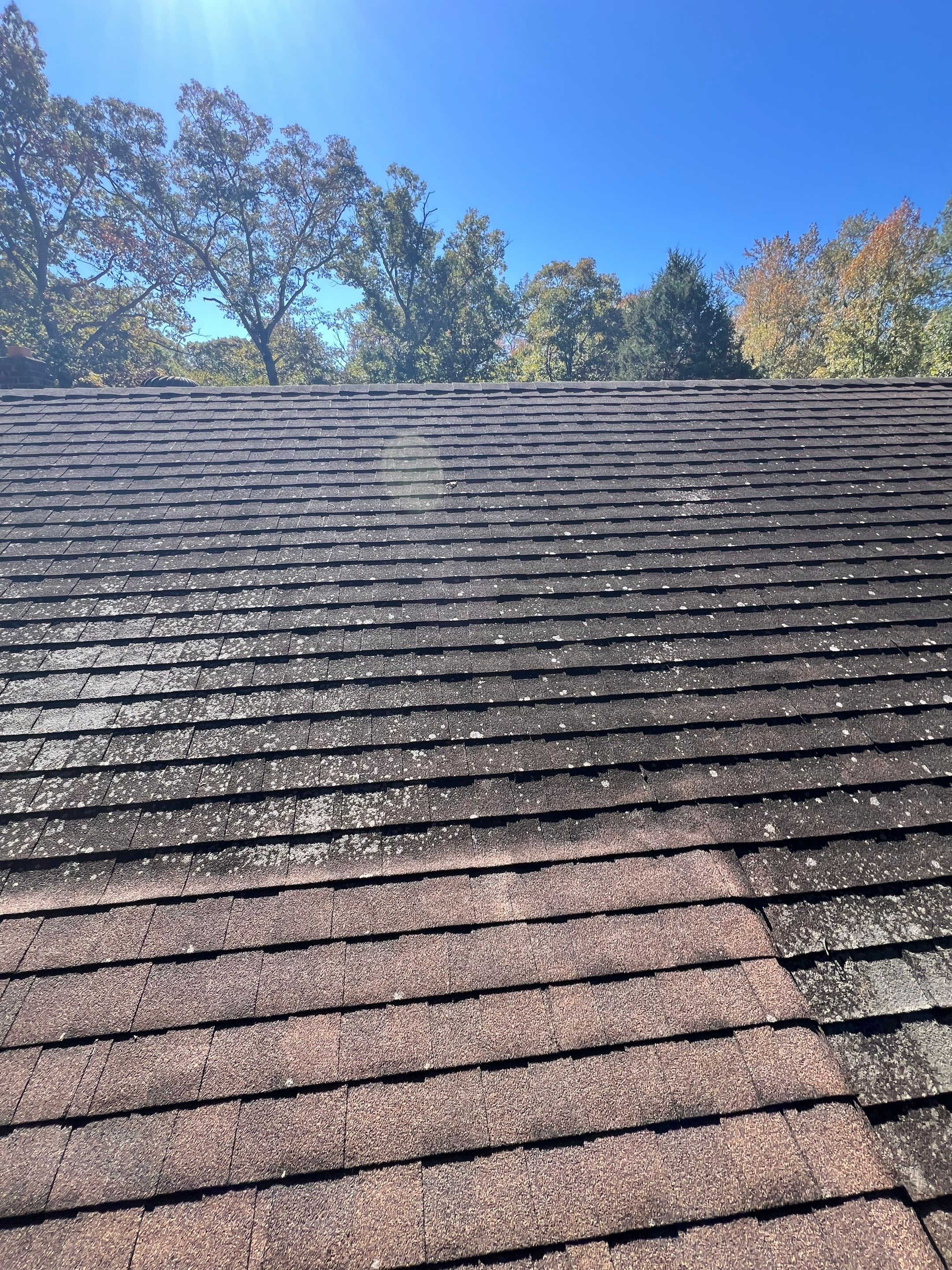 Project in Richmond by Roof Maxx of Midlothian