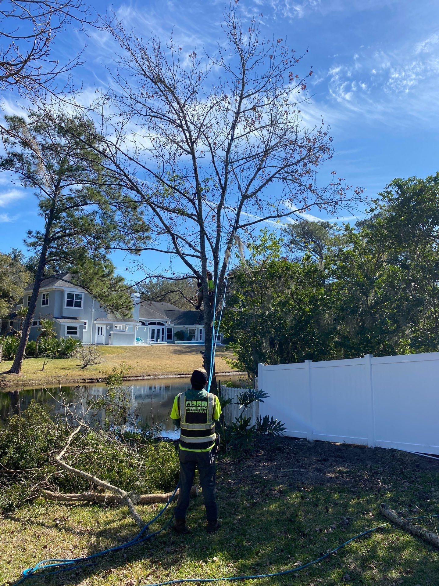 Deerwood Resident | Tree Removal by ProGreen Services