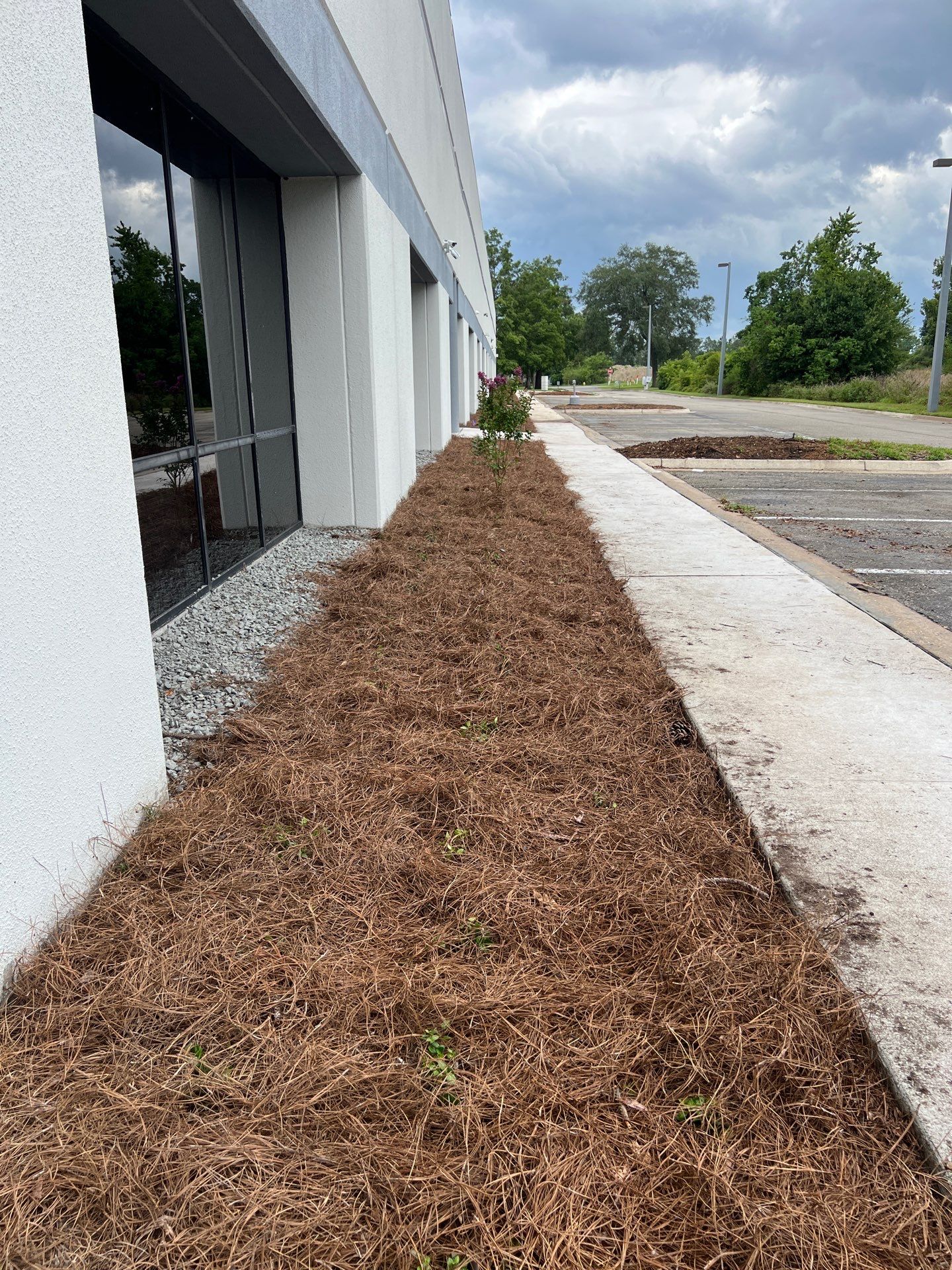 Large Landscape Project | Center Point by ProGreen Services