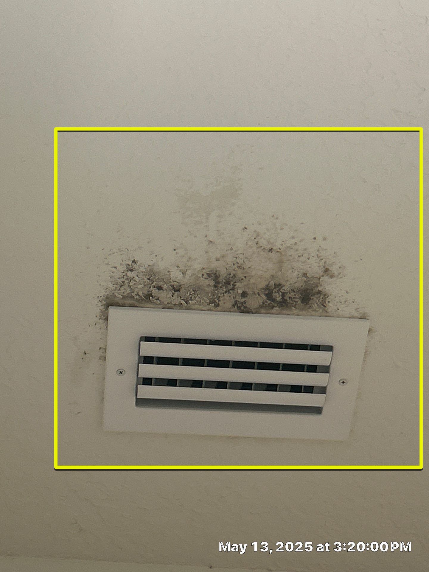 Mold Removal by Ampm Restoration Services