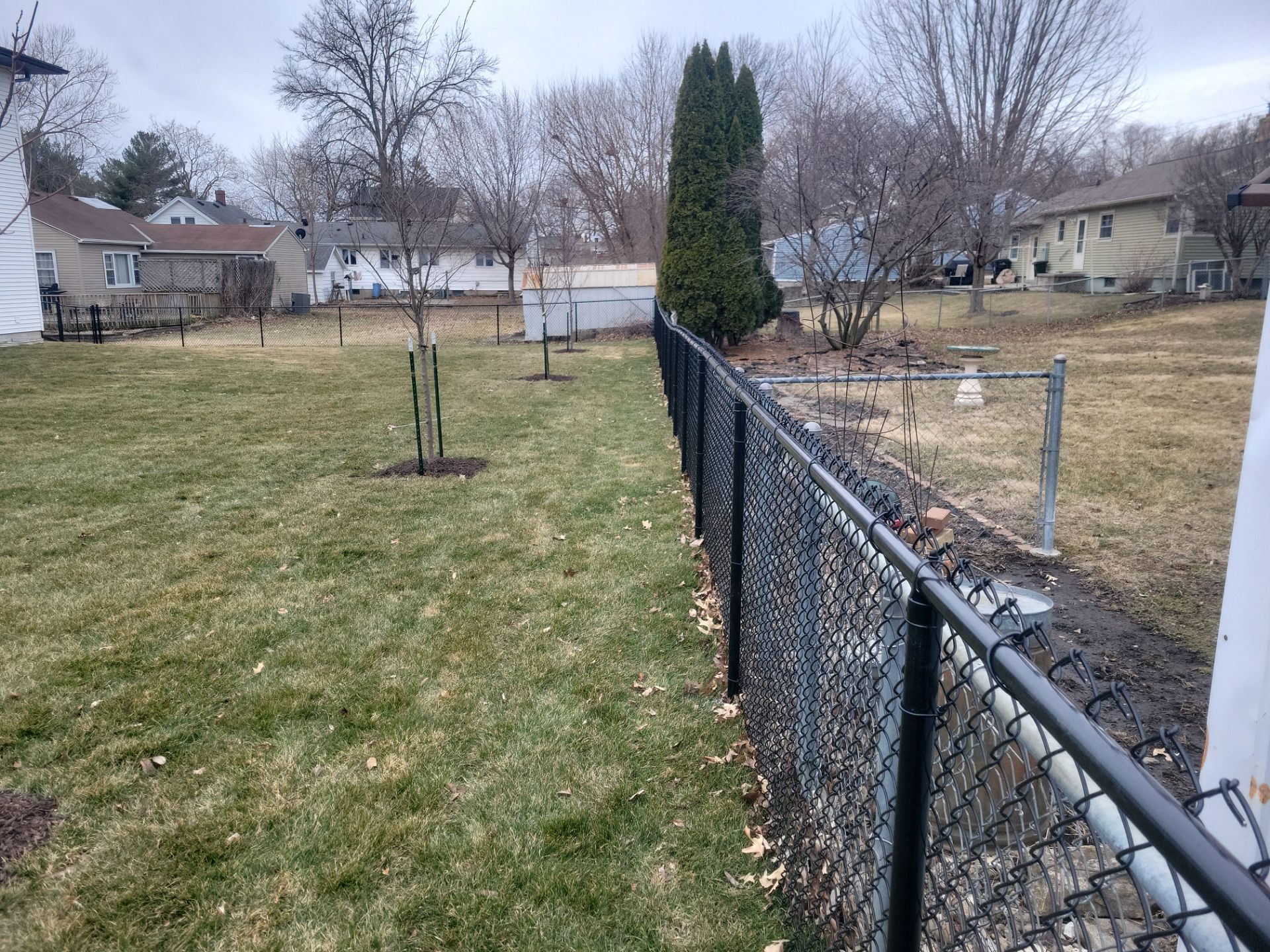 Black Chain Link Backyard Fence and Gate Installation in Cedar Falls by Perfect Picket Fence and Stain