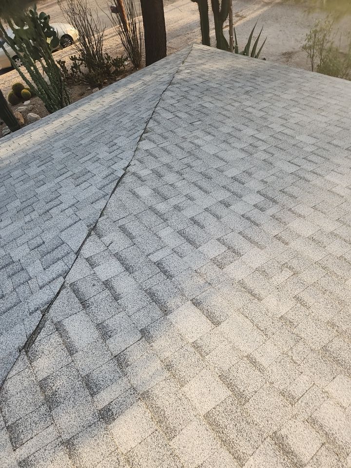 Silver Birch Shingles by Reimagine Roofing