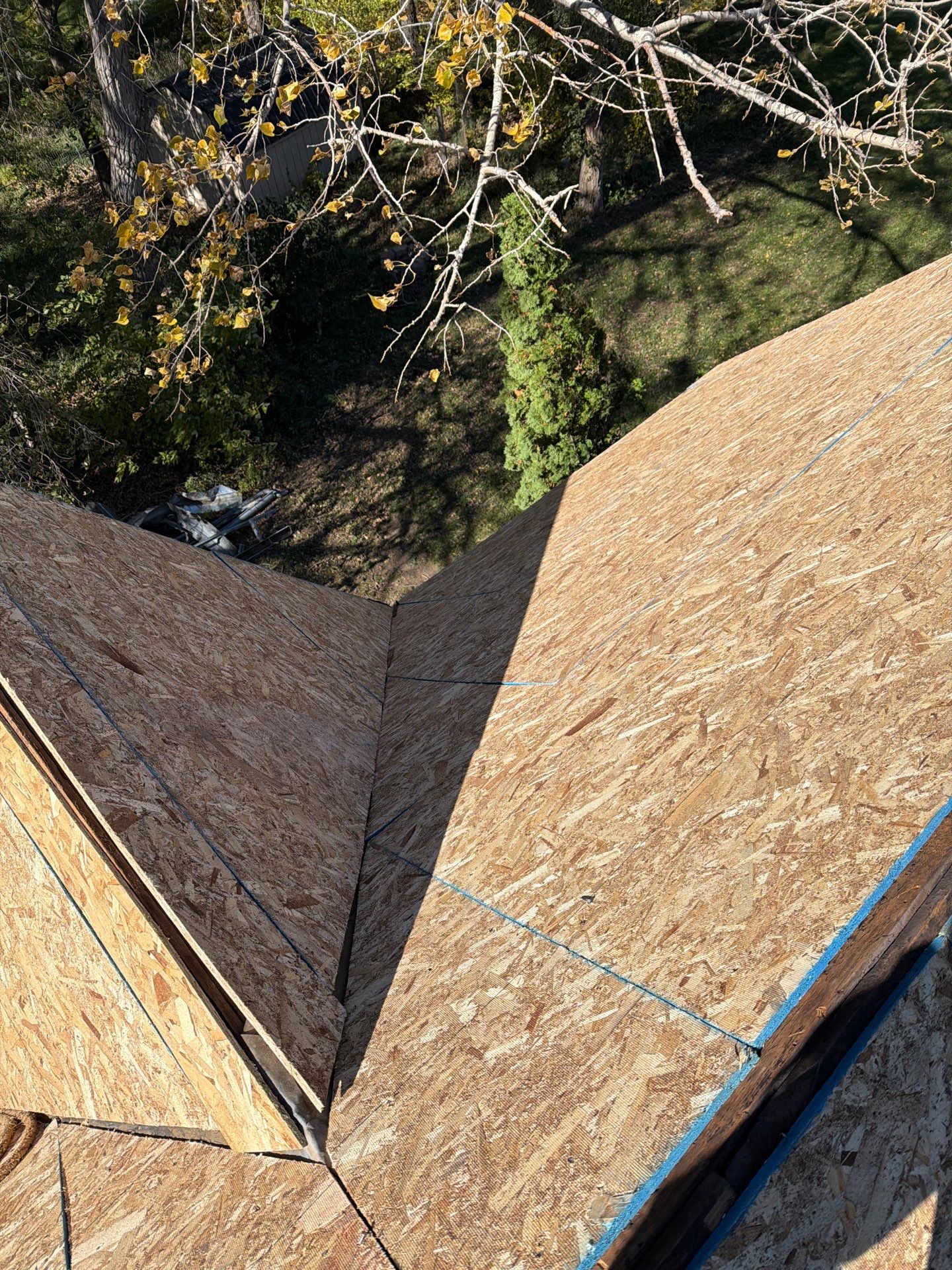 Malarkey Highlander Brilliant Black by Loyal Nine