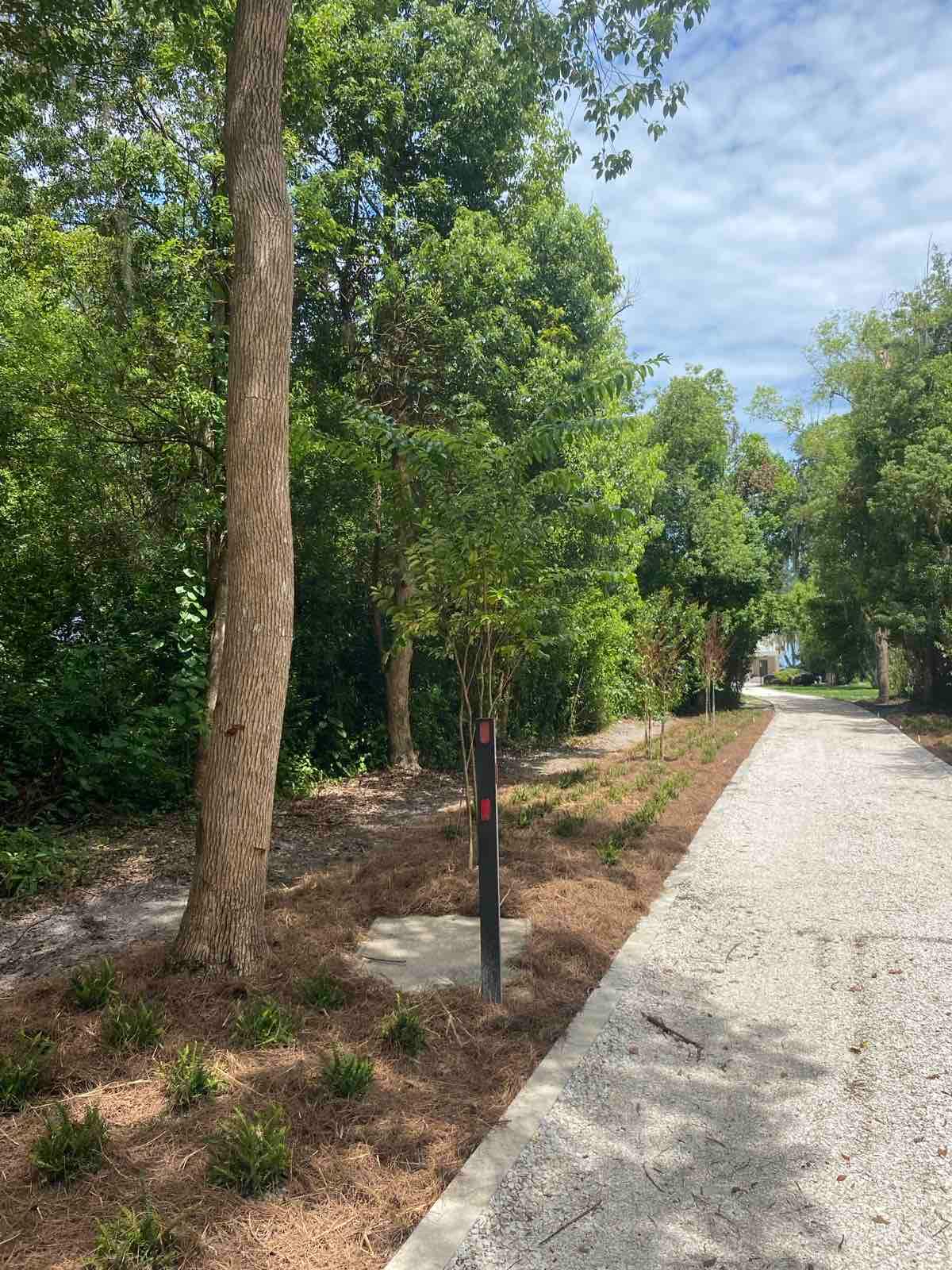 Landscape Install | Residence by ProGreen Services