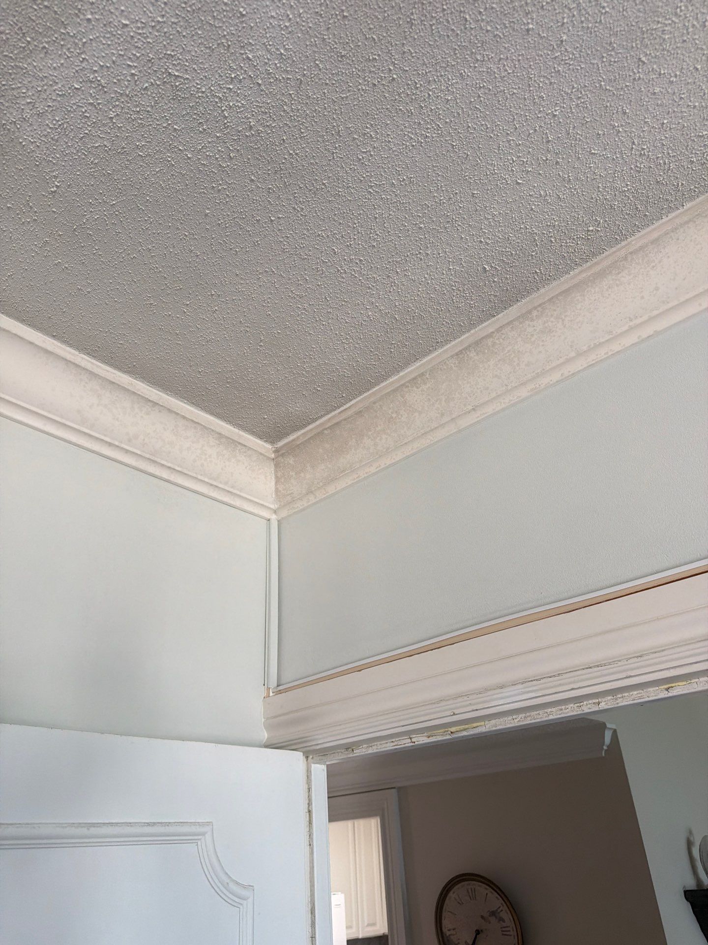 Residential Mold Remediation and Interior Moisture Damage Assessment in Palm Beach by SuperClean