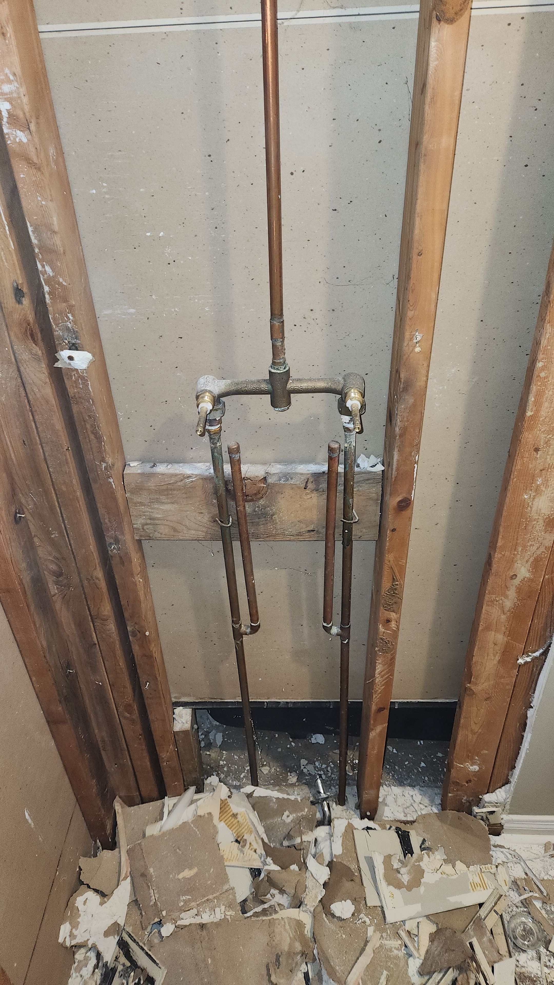 Acrylic shower, lifetime warranty by The Shower Company