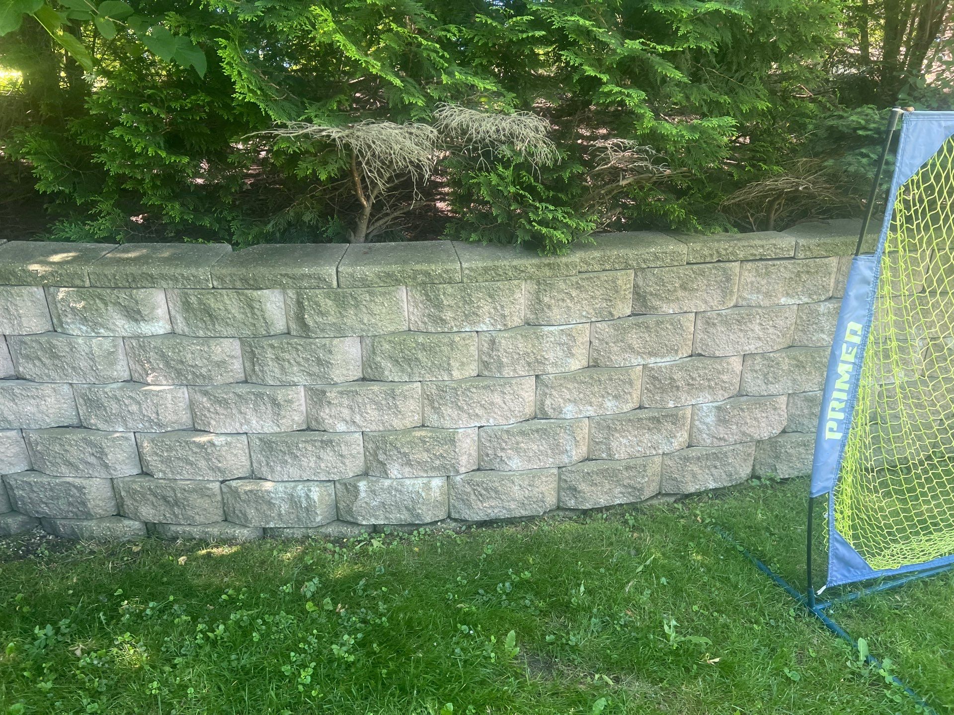 concrete cleaning using Algaecide, soft wash soap by Northern Power Washing LLC.