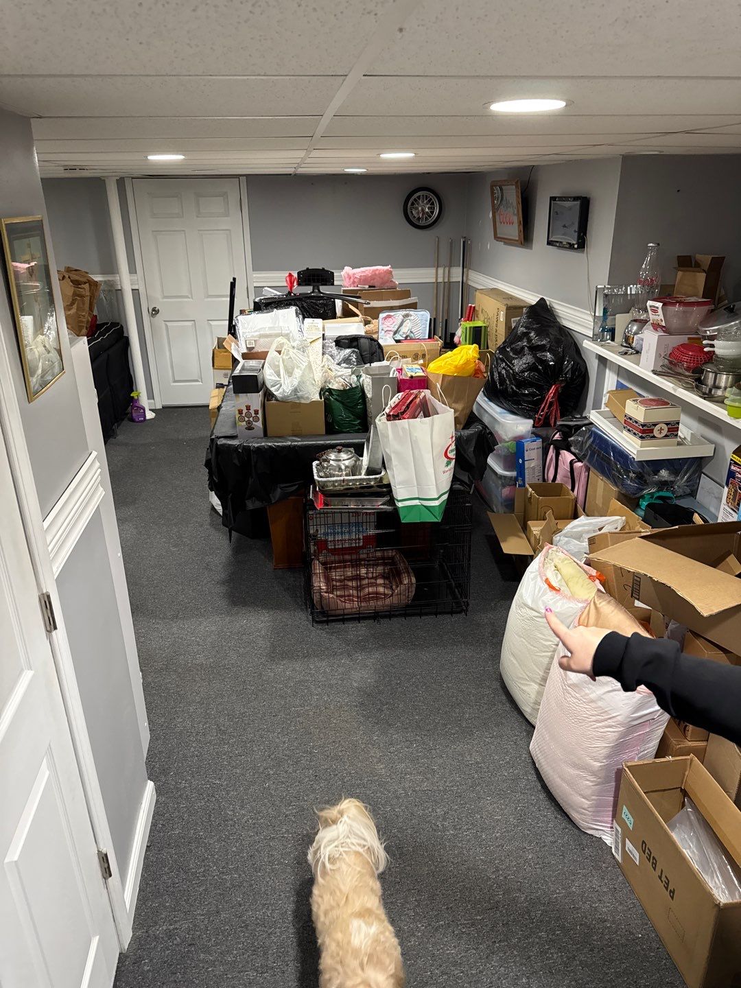 Project in Wixom by EzDry Water Mitigation & Property Restoration