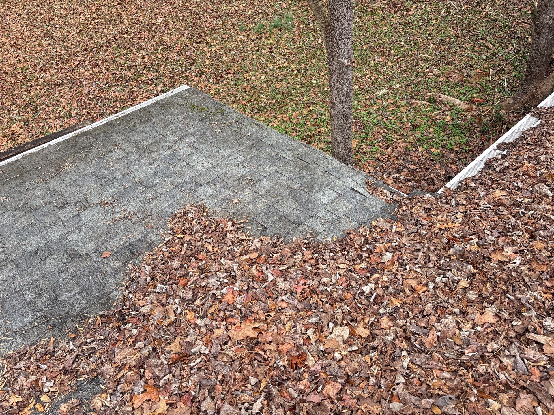 Clean Roof, Strong Home 🍂 by Georgia Roof Advisors