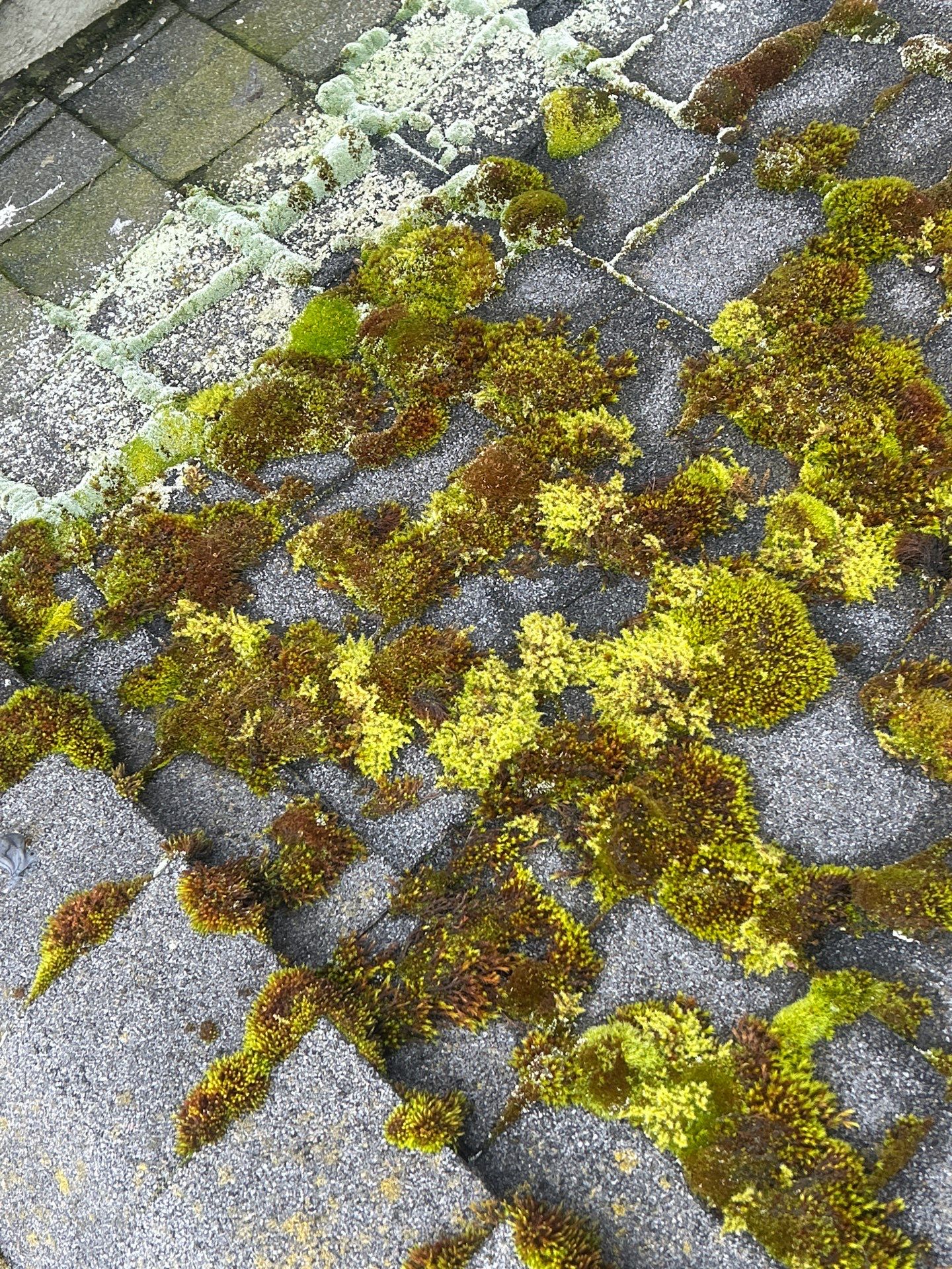 Project in Bellevue by Connolly Construction Company