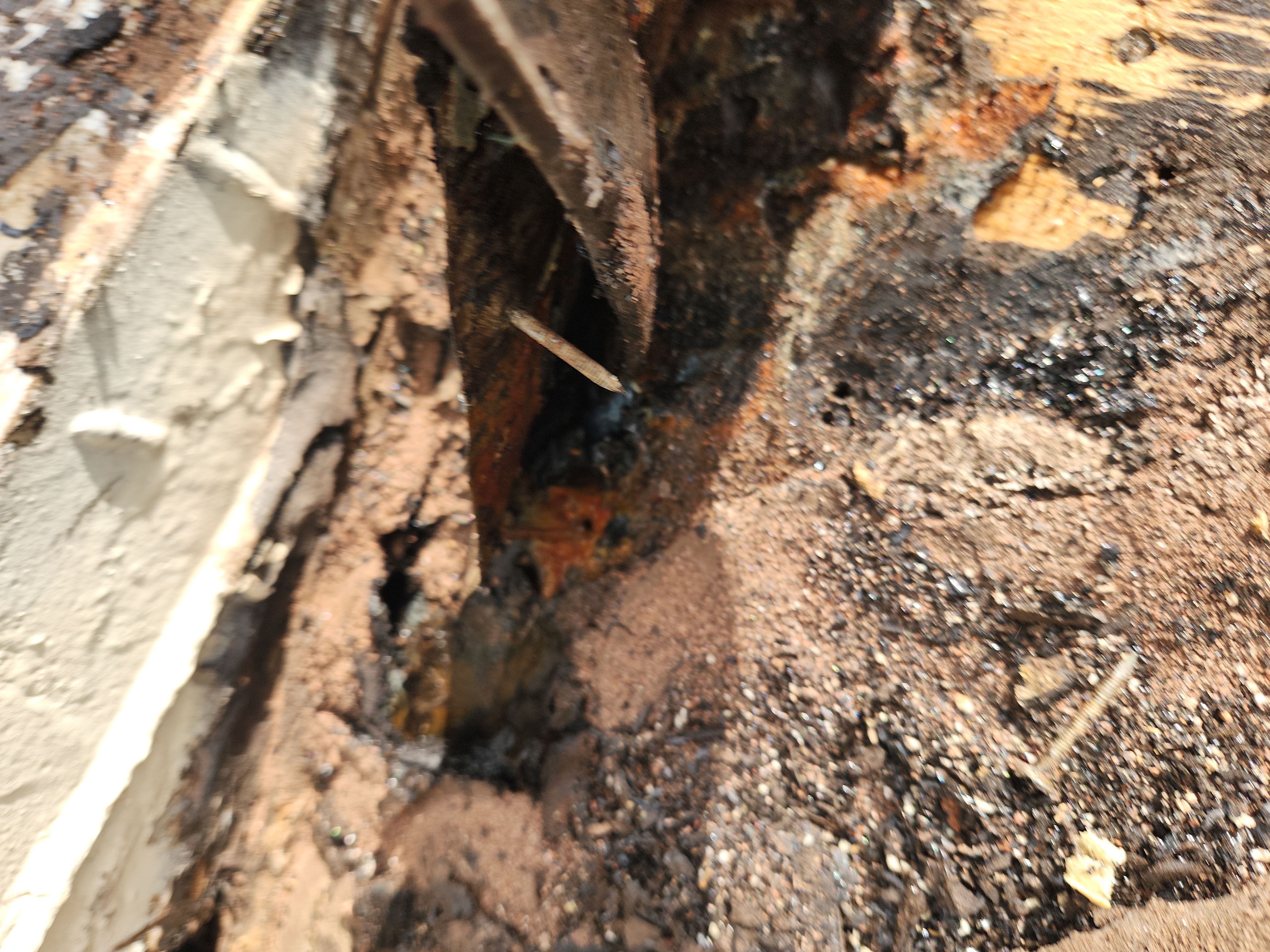 Clay Tile Roof Leak Repair and Sheathing Replacement in Hollywood by Aastro Roofing