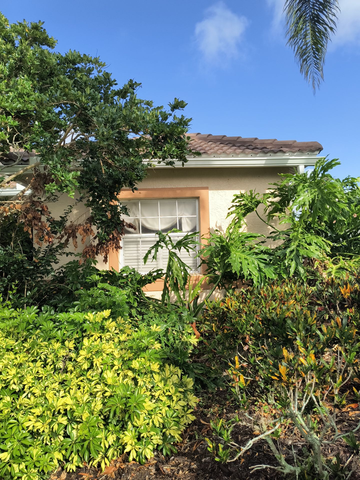 7 inch seamless gutters using K-Style Seamless Gutters in Sarasota FL by Gutter Professors