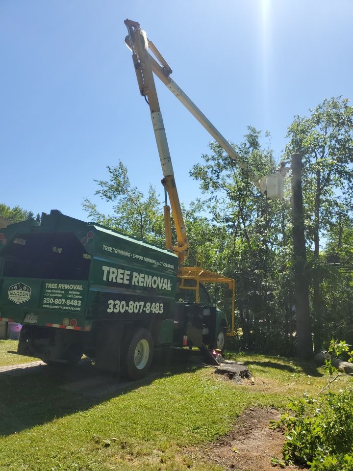 Tree Removal using Tree Removal by Mike Jones & Sons Tree Service LLC 
