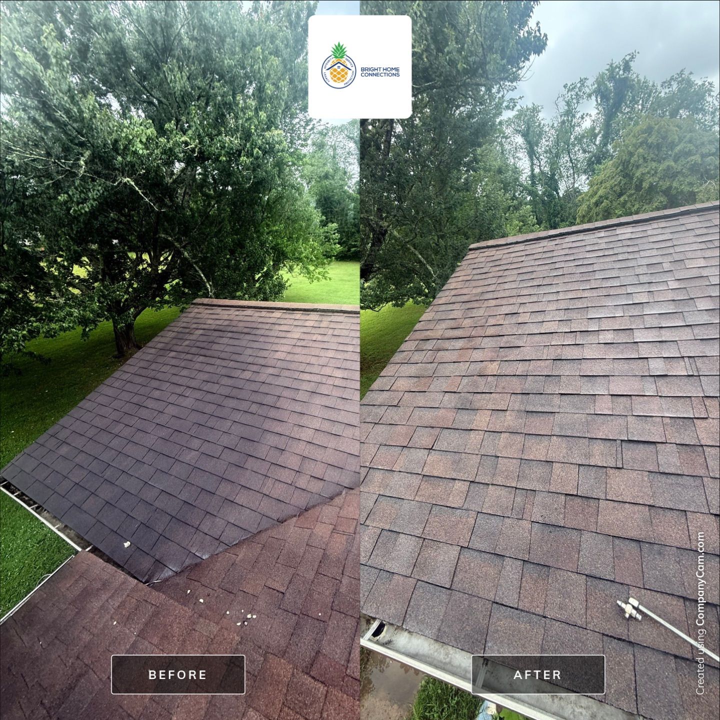 Residential Roof Rejuvenation and Component Repair in Etowah