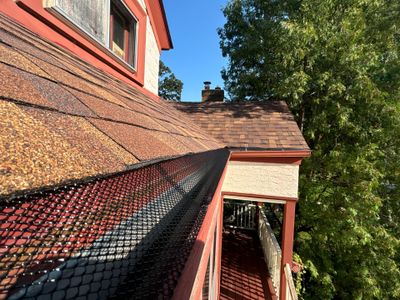 Black Mesh Gutter Guard Installation in Minneapolis, MN