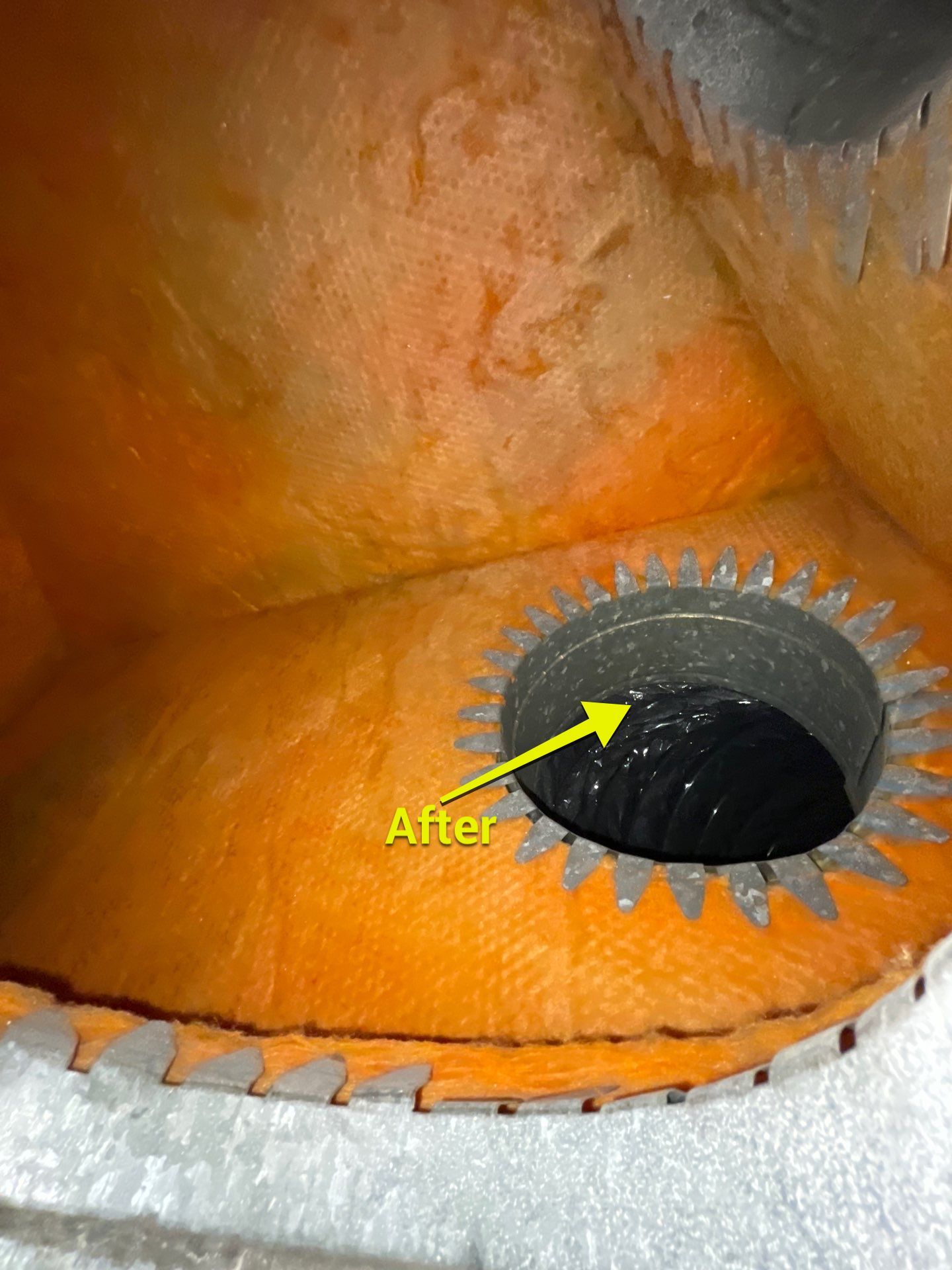Air Duct Cleaning in Bartow by Hygienic Air, Inc